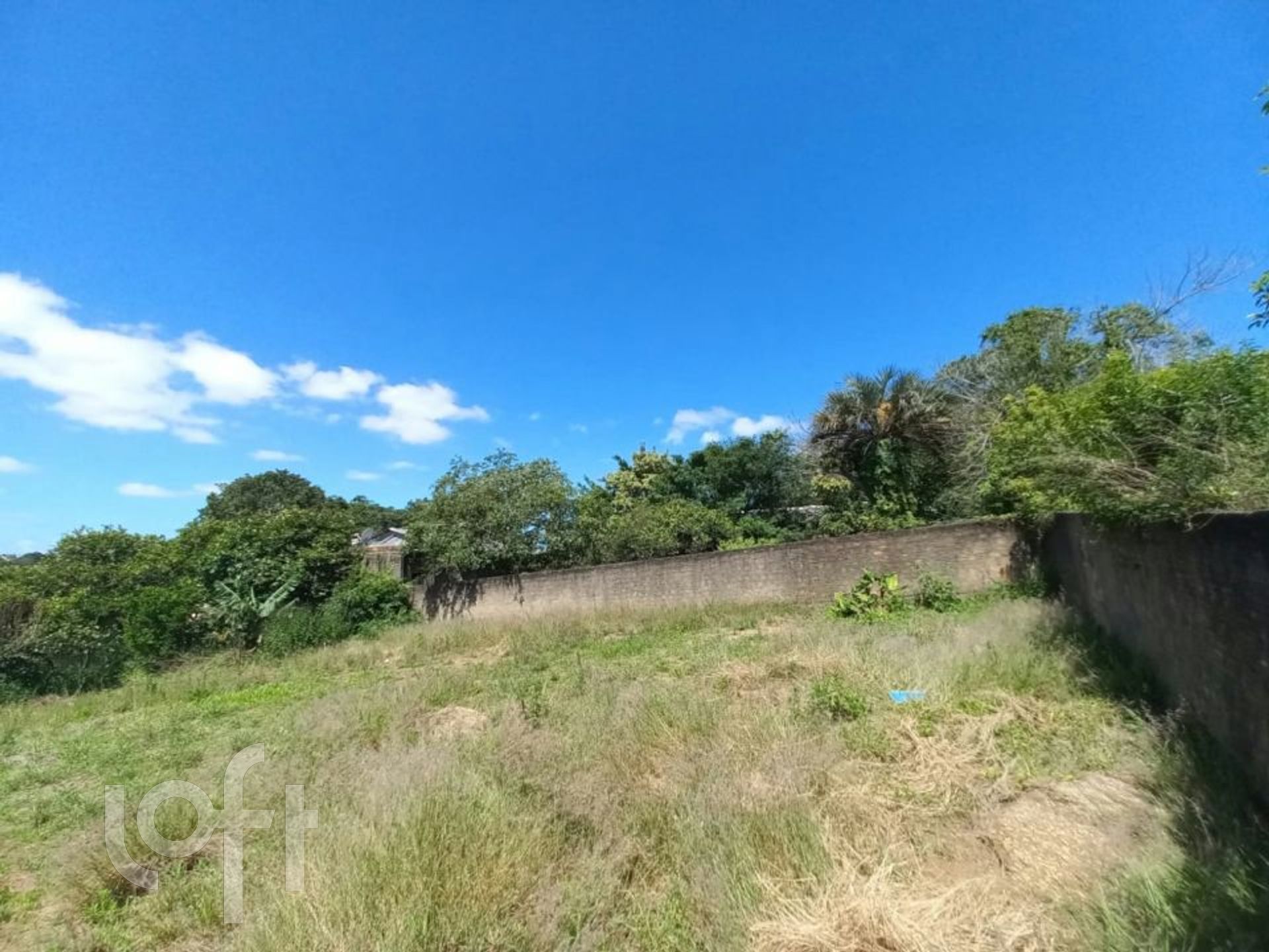 Imagem da propriedade 11