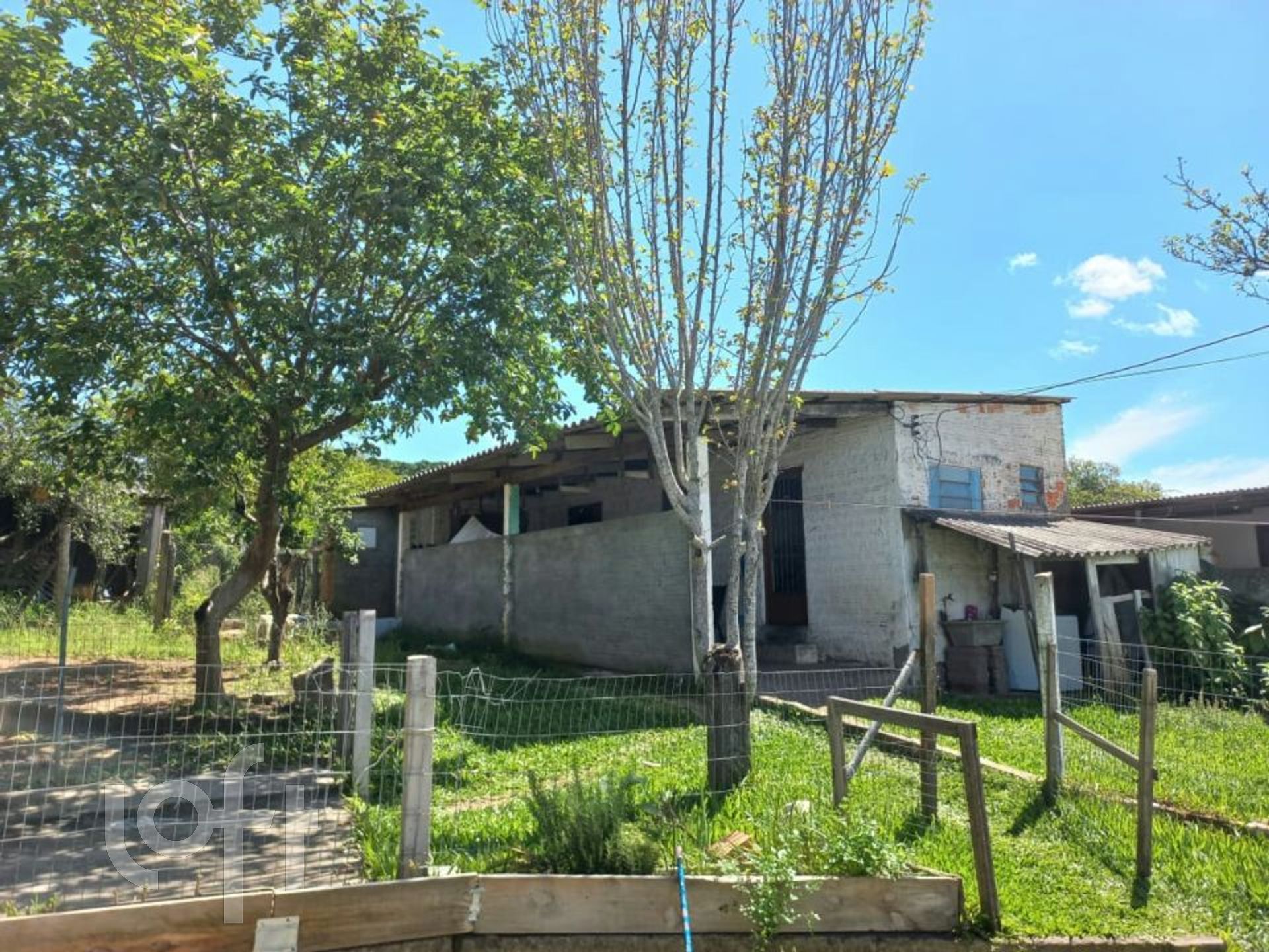 Imagem da propriedade 8