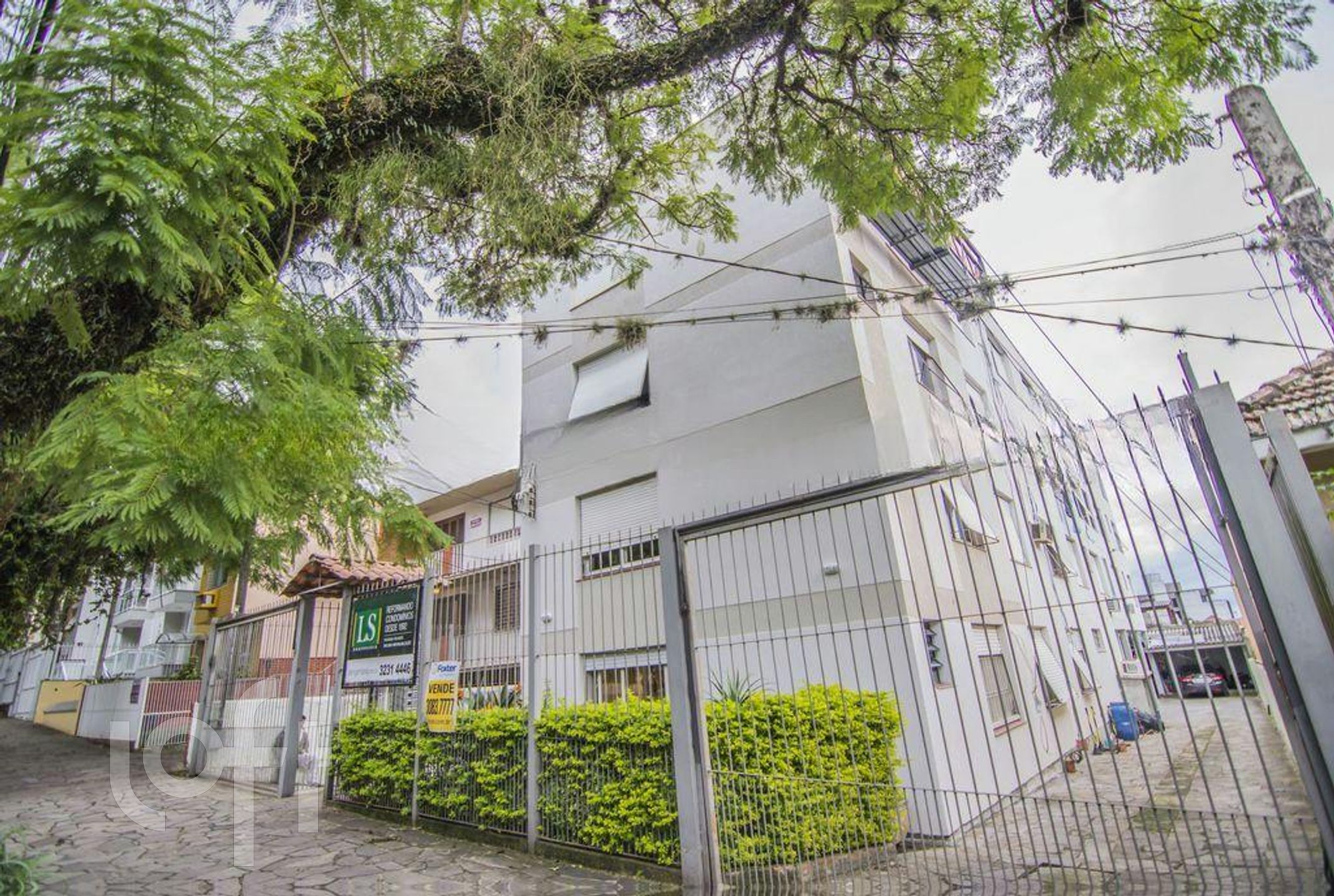 Imagem da propriedade 15