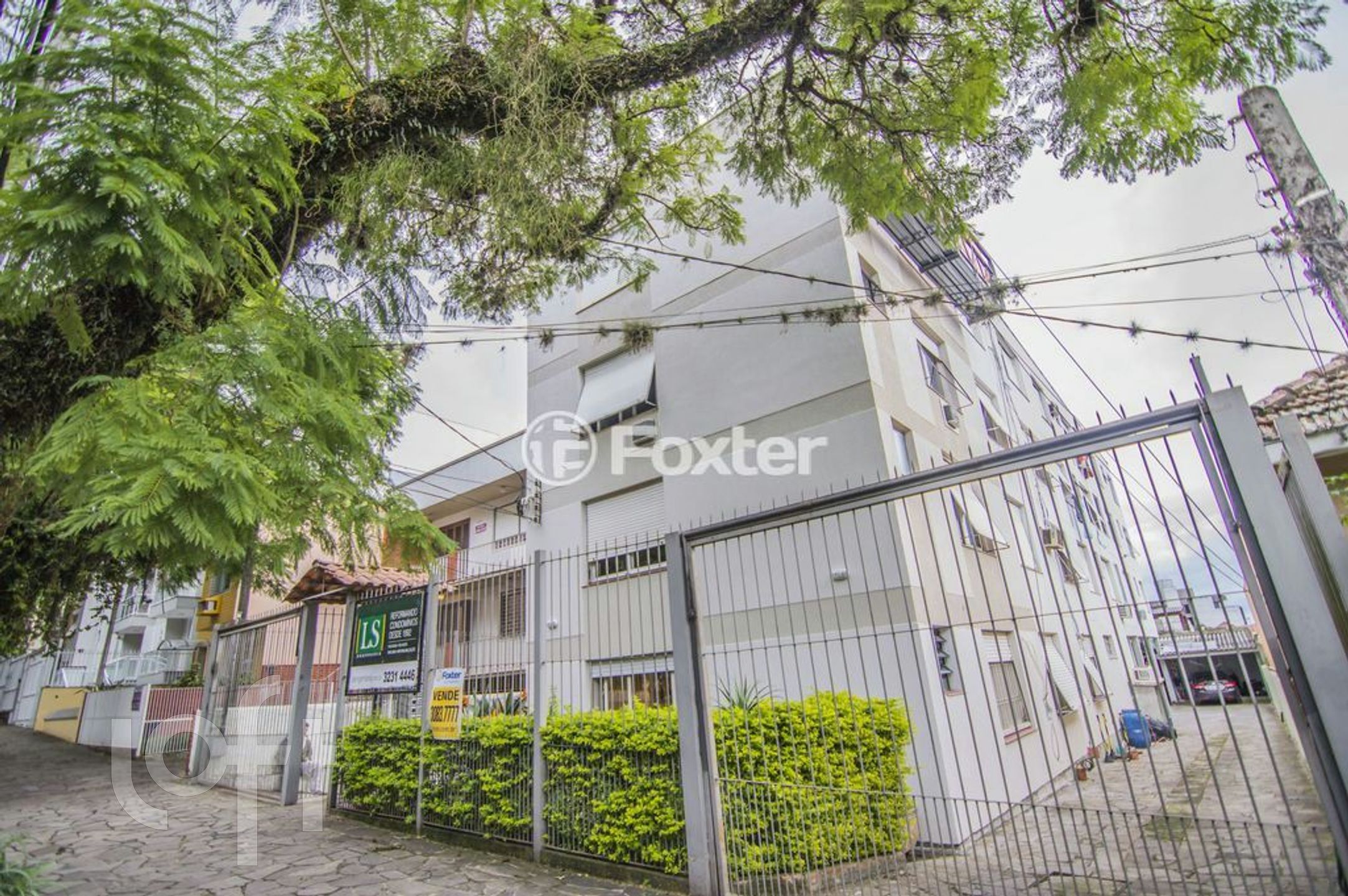 Imagem da propriedade 15