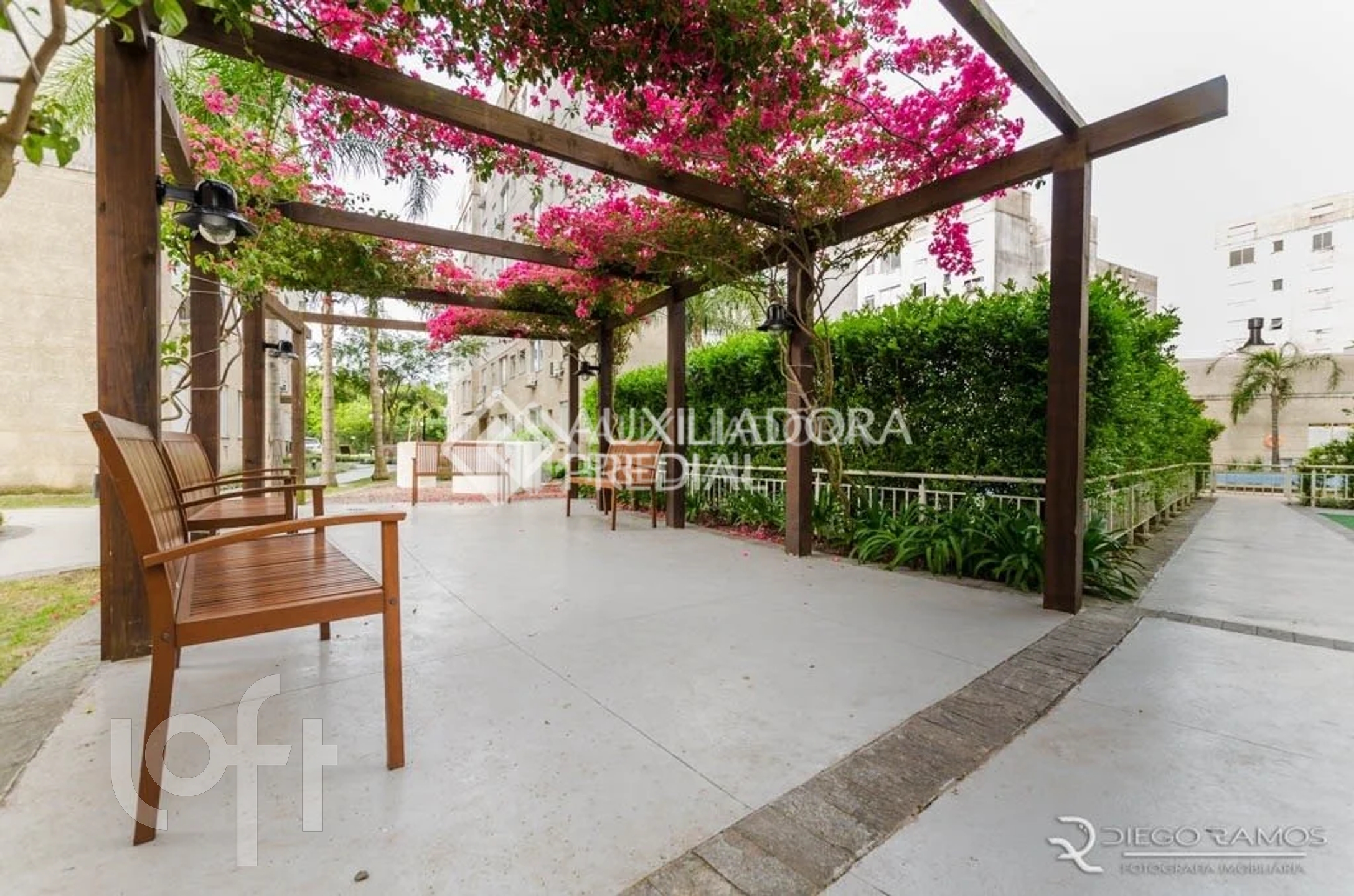 Imagem da propriedade 13