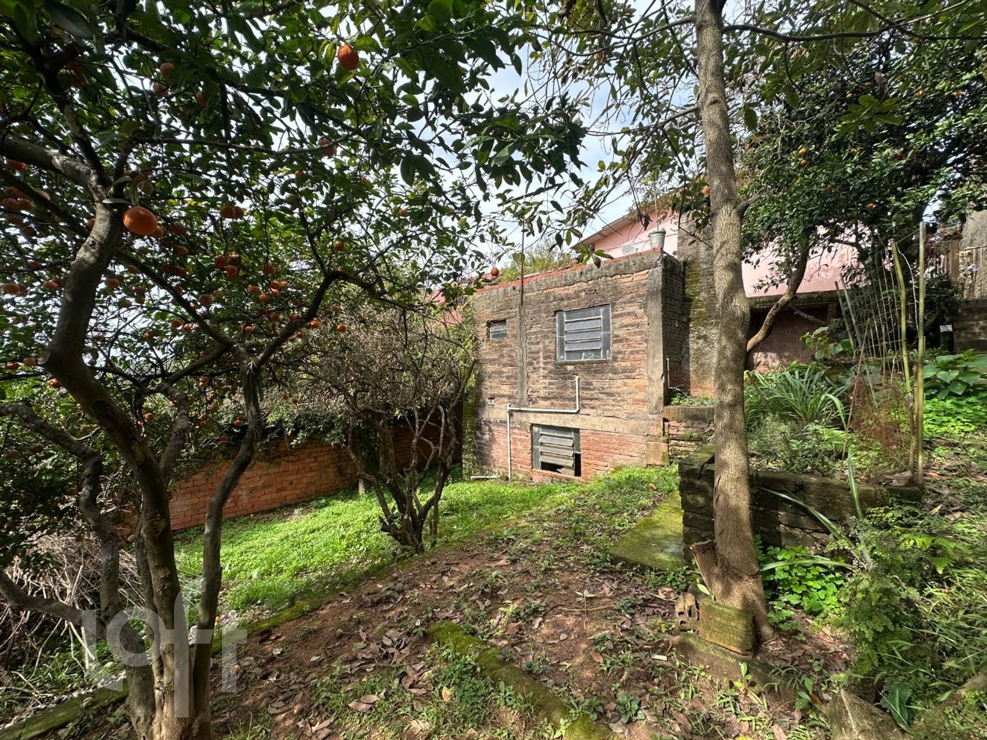 Imagem da propriedade 28