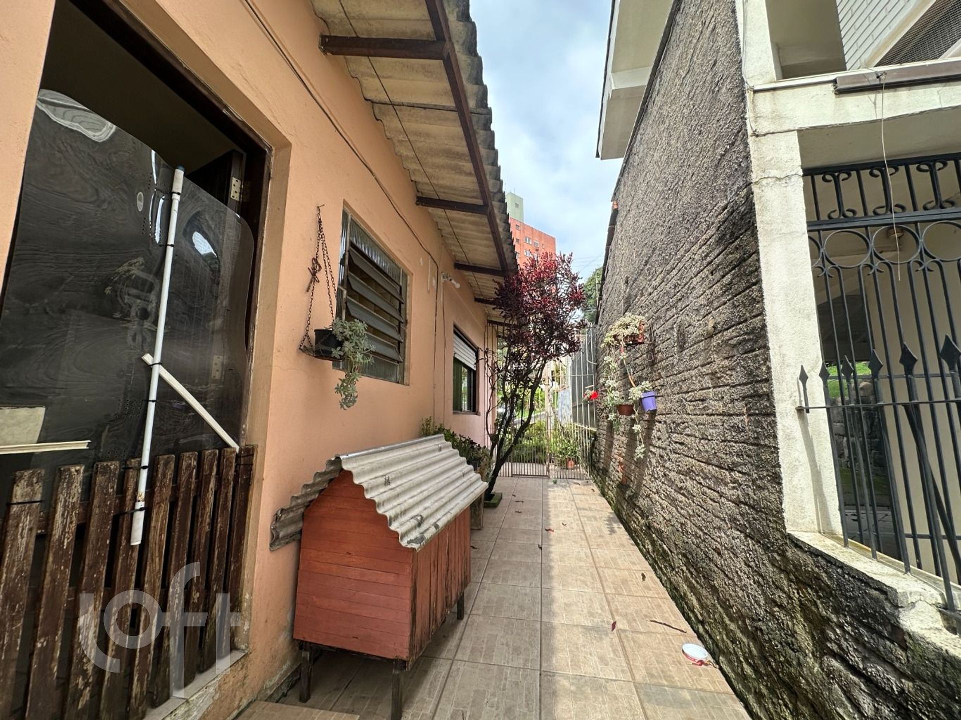 Imagem da propriedade 29