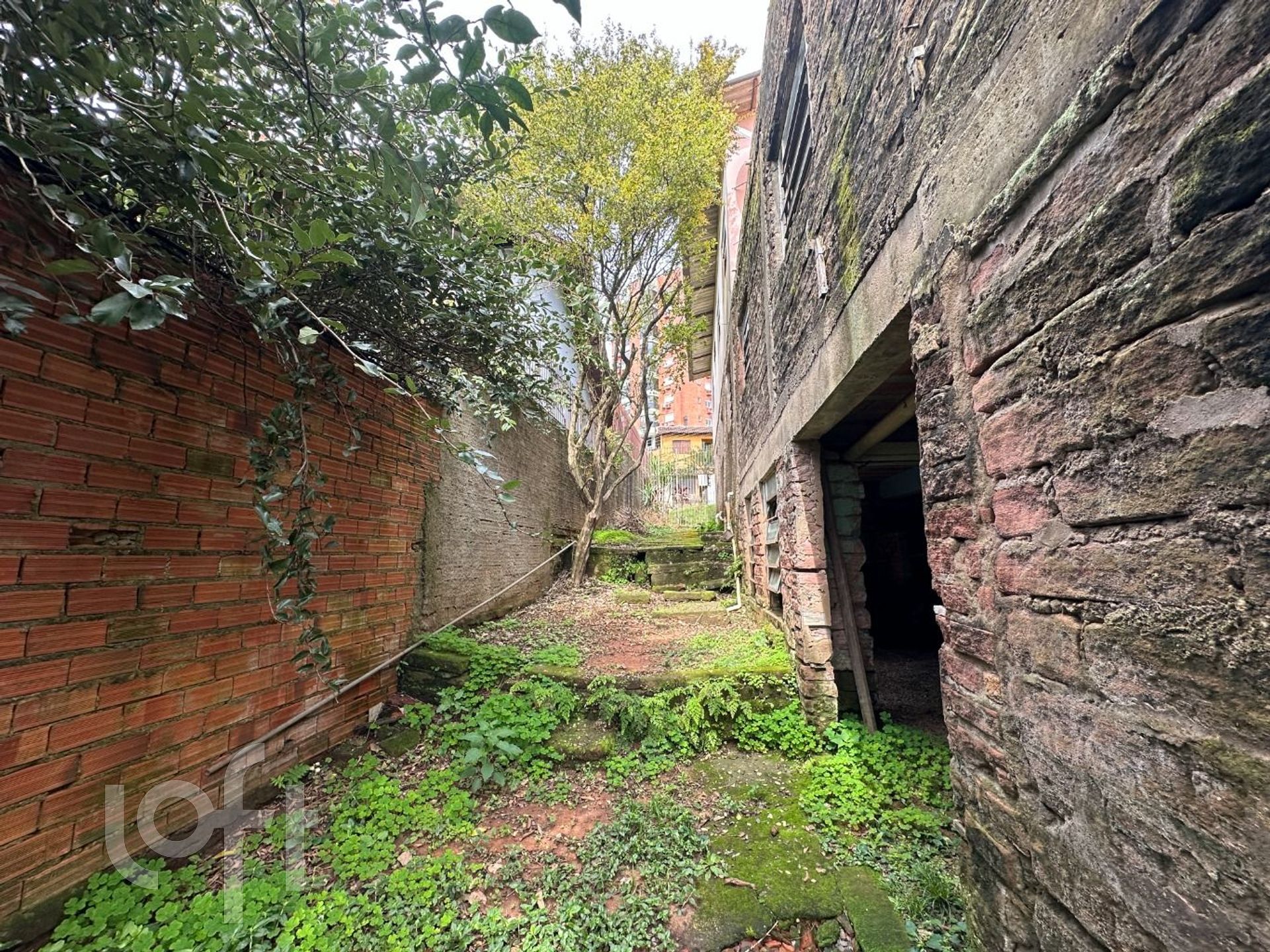 Imagem da propriedade 25