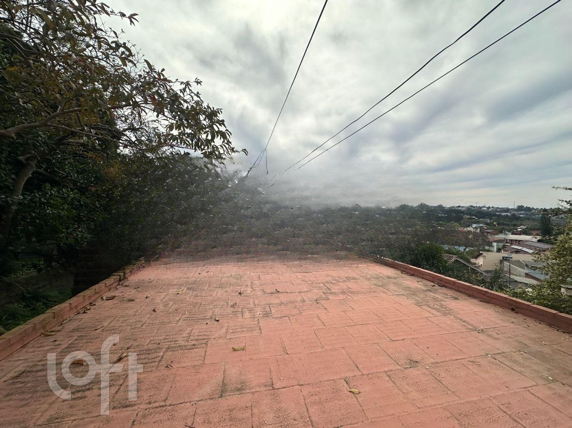 Imagem da propriedade 19