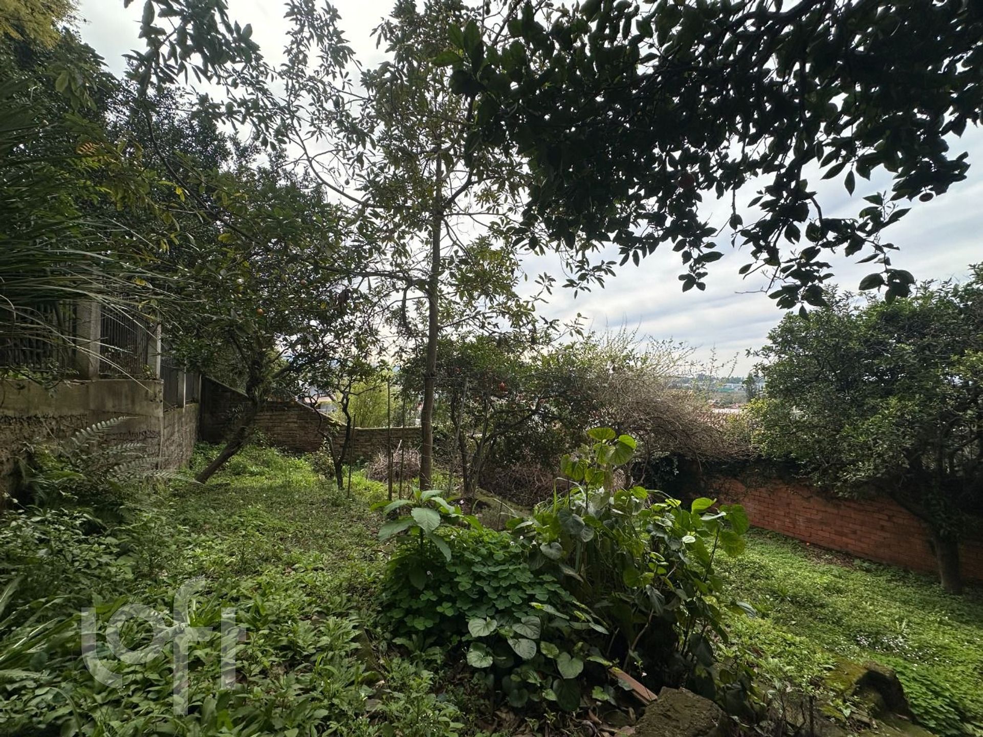 Imagem da propriedade 23