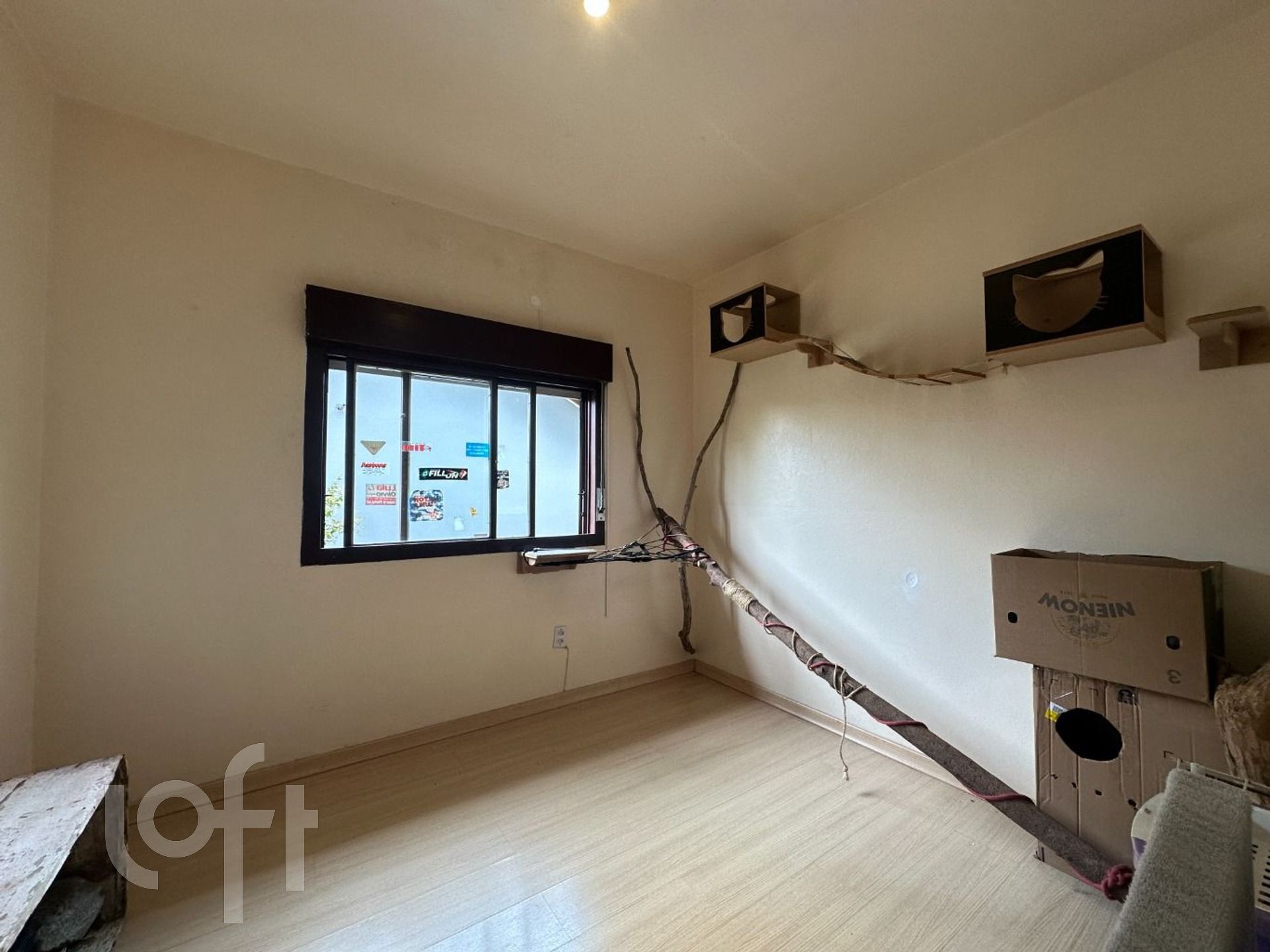 Imagem da propriedade 9