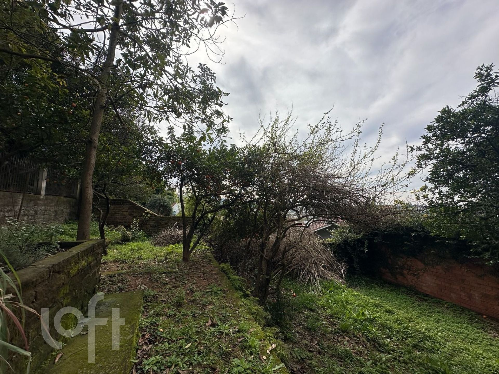 Imagem da propriedade 24