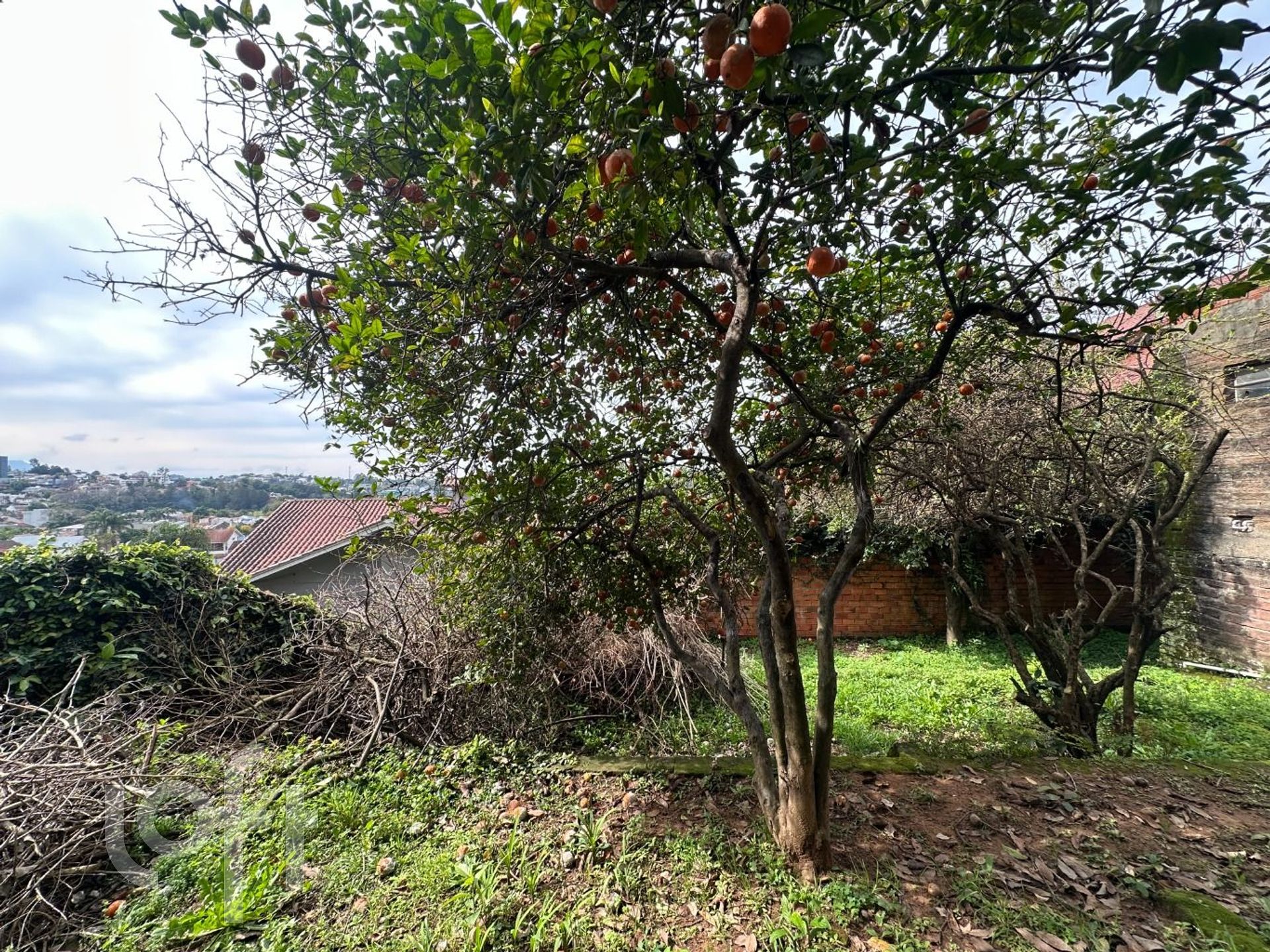 Imagem da propriedade 27