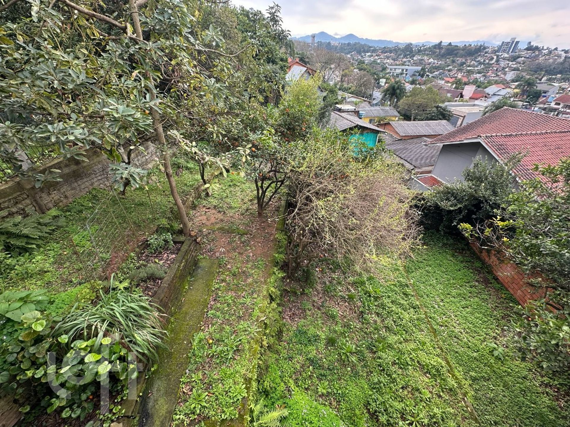 Imagem da propriedade 21