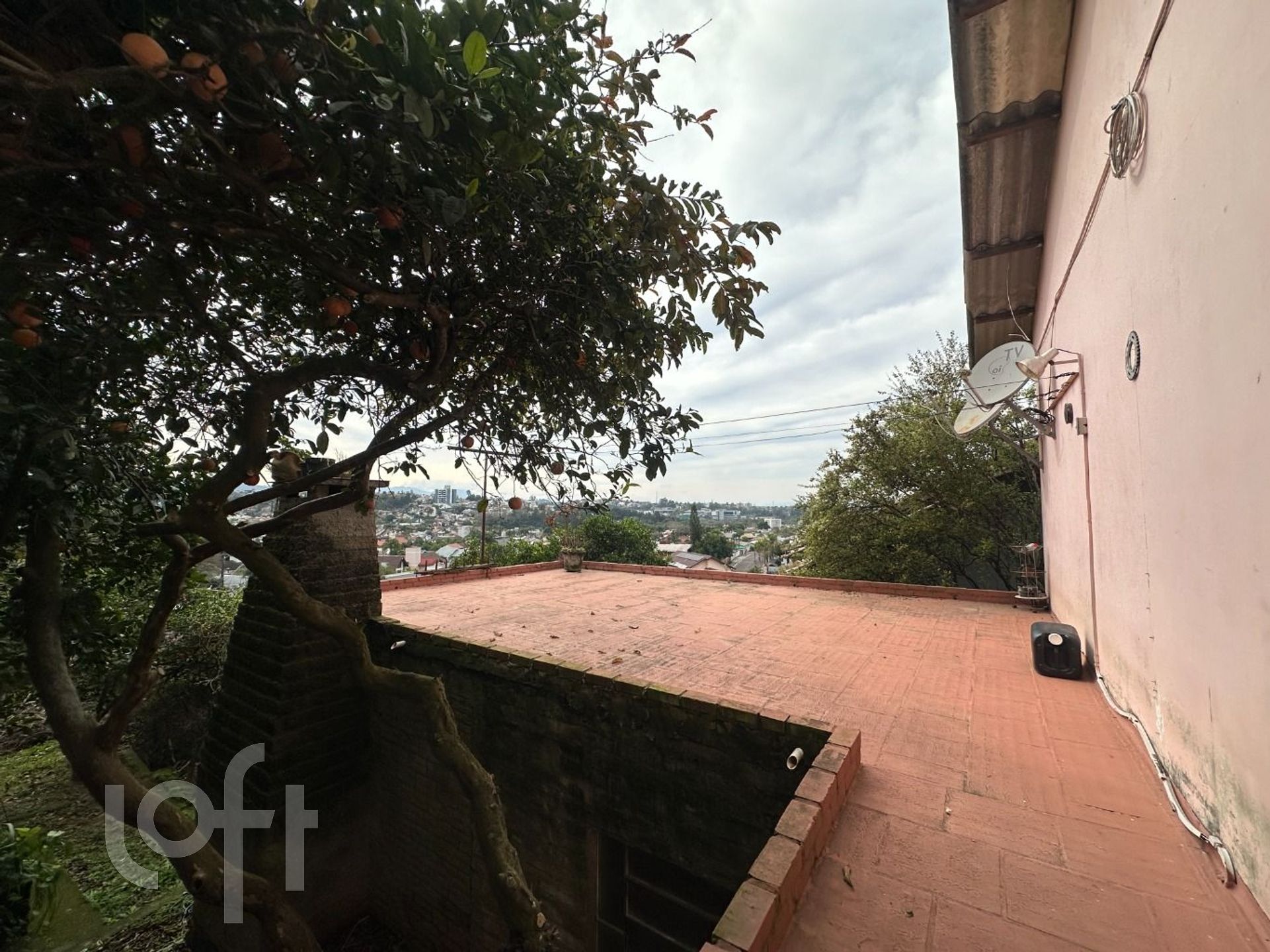 Imagem da propriedade 18