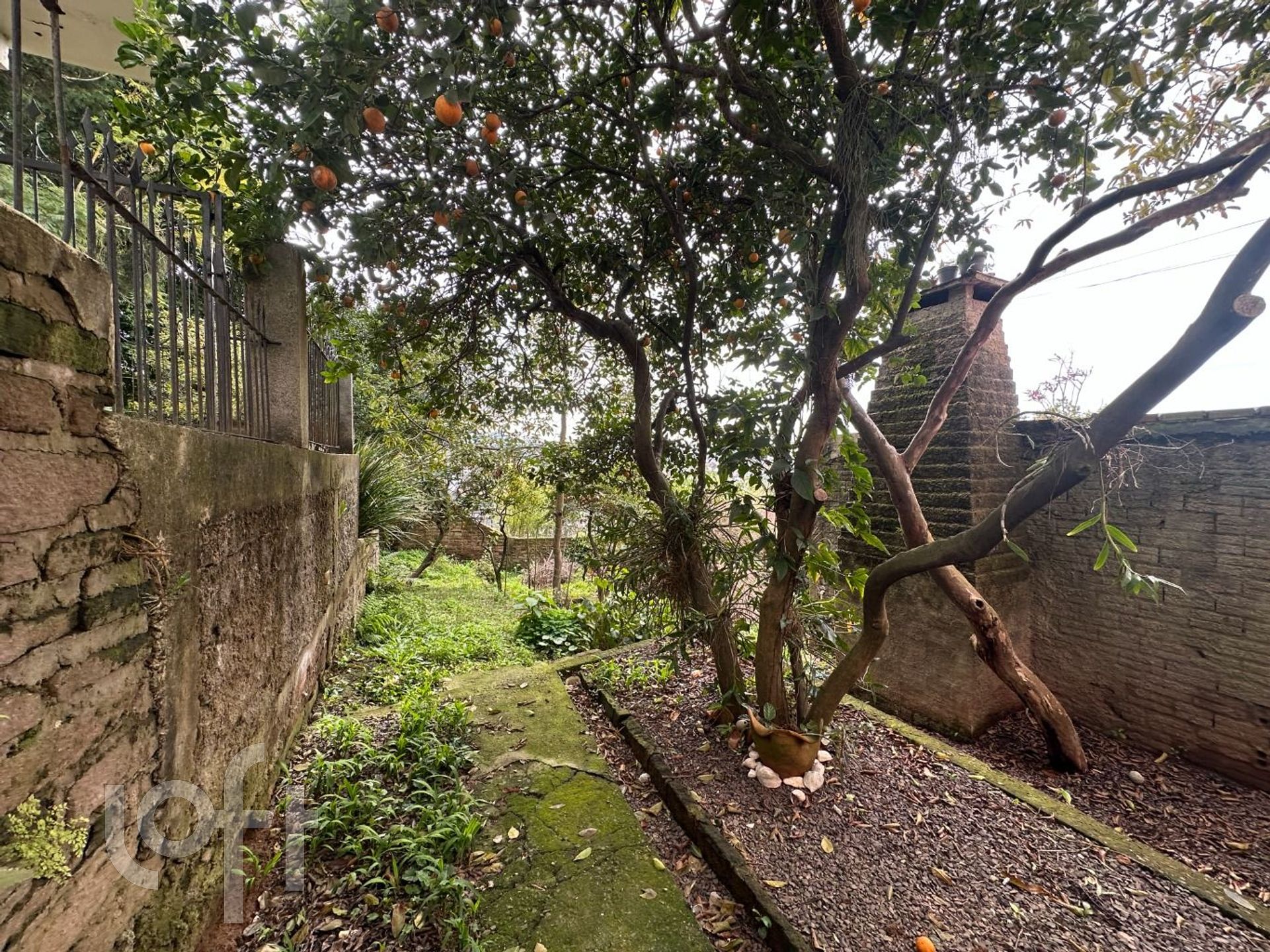 Imagem da propriedade 22