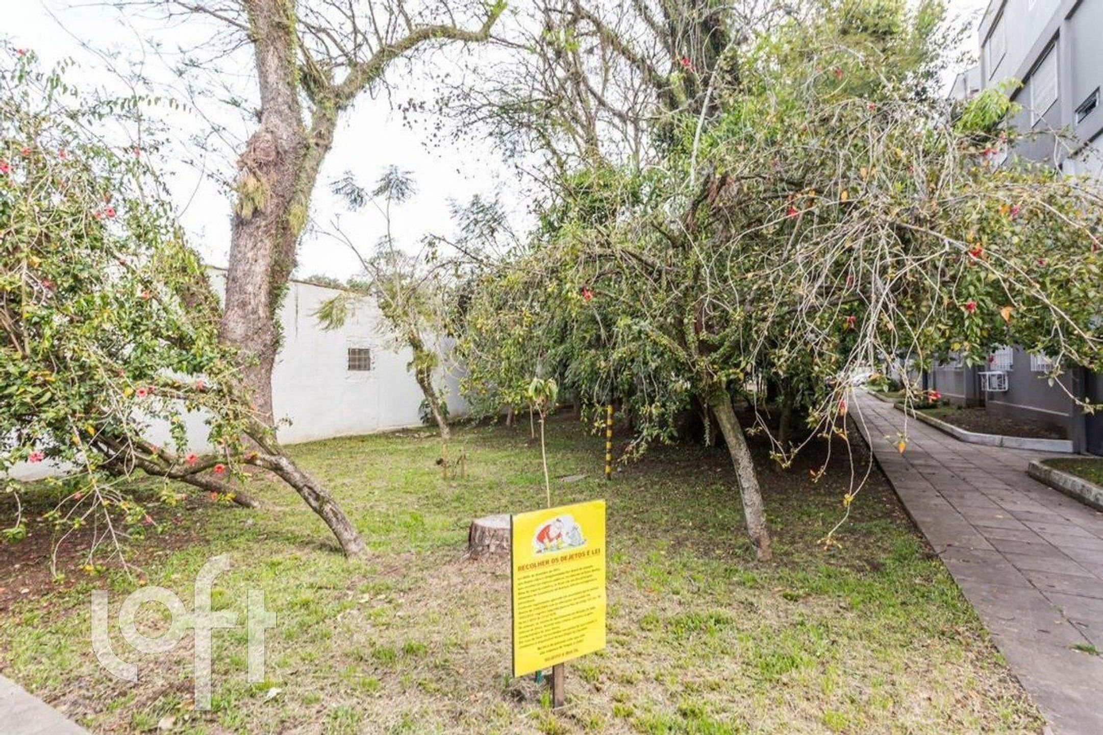 Imagem da propriedade 14