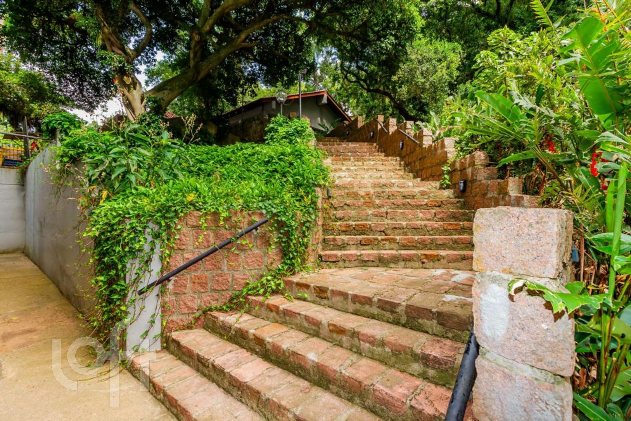 Imagem da propriedade 56