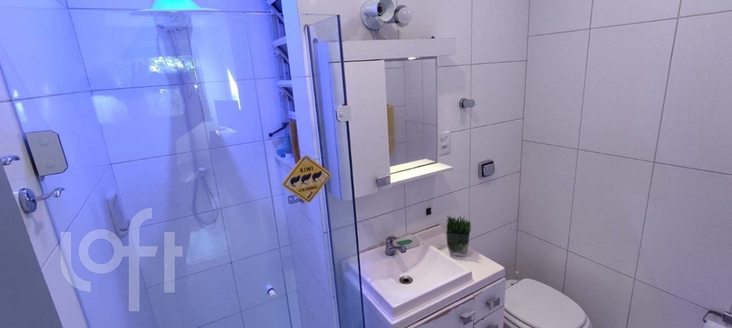 Imagem da propriedade 12