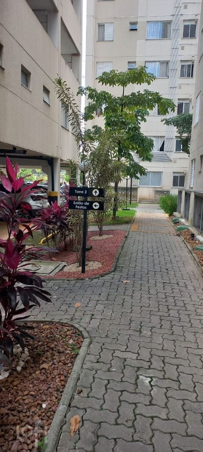 Imagem da propriedade PUi91rjg 12