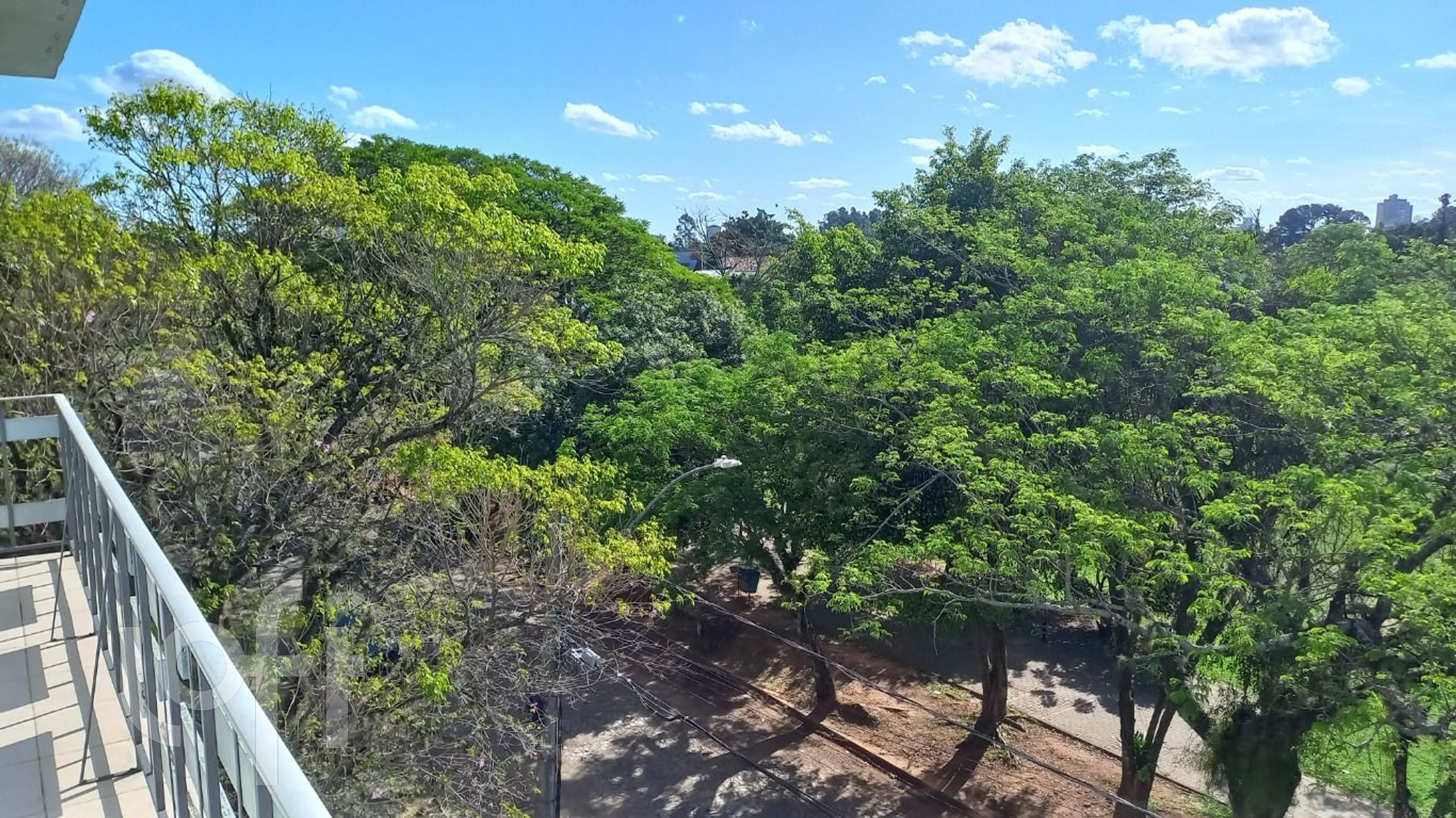 Imagem da propriedade 9