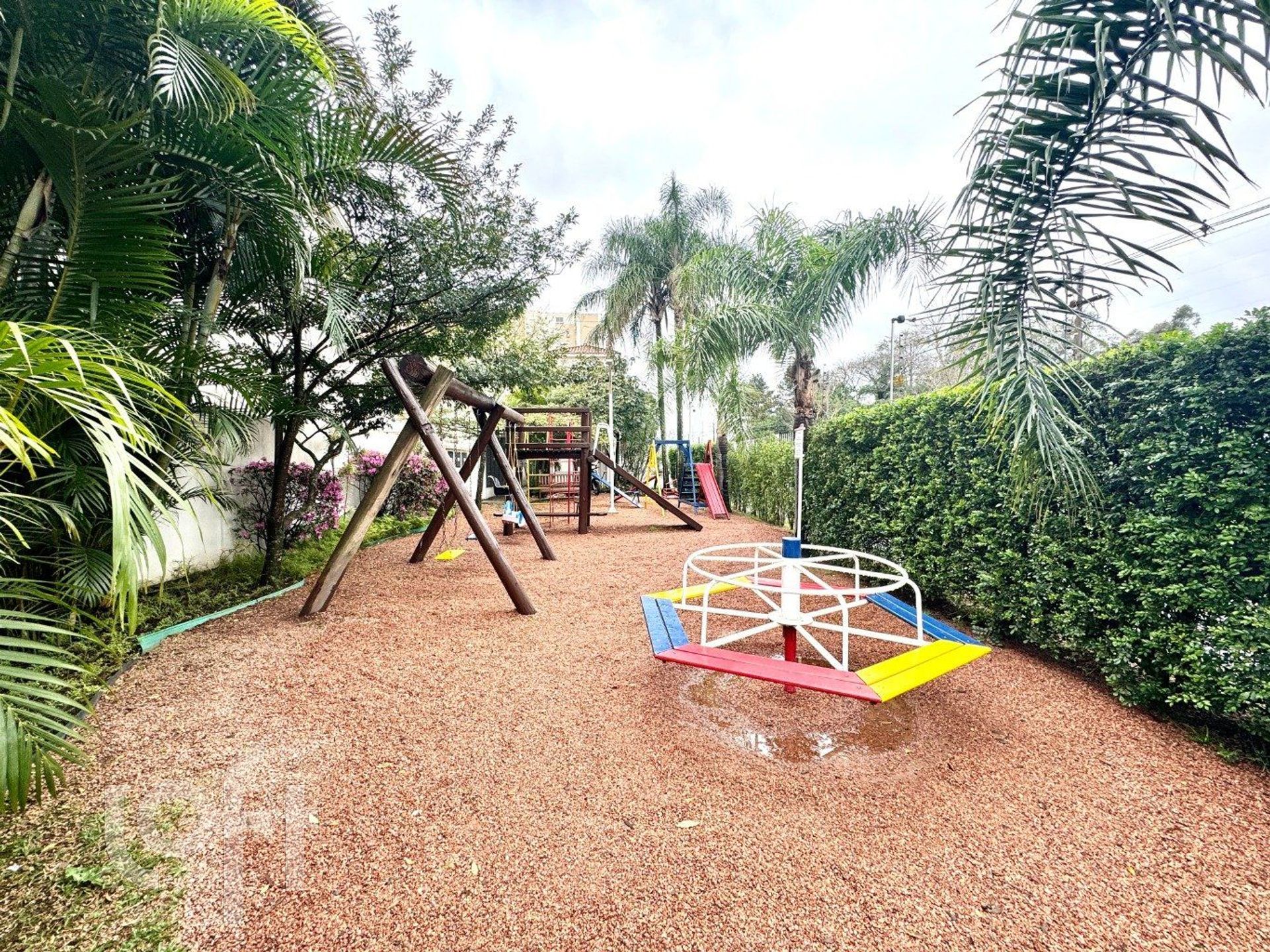 Imagem da propriedade 21