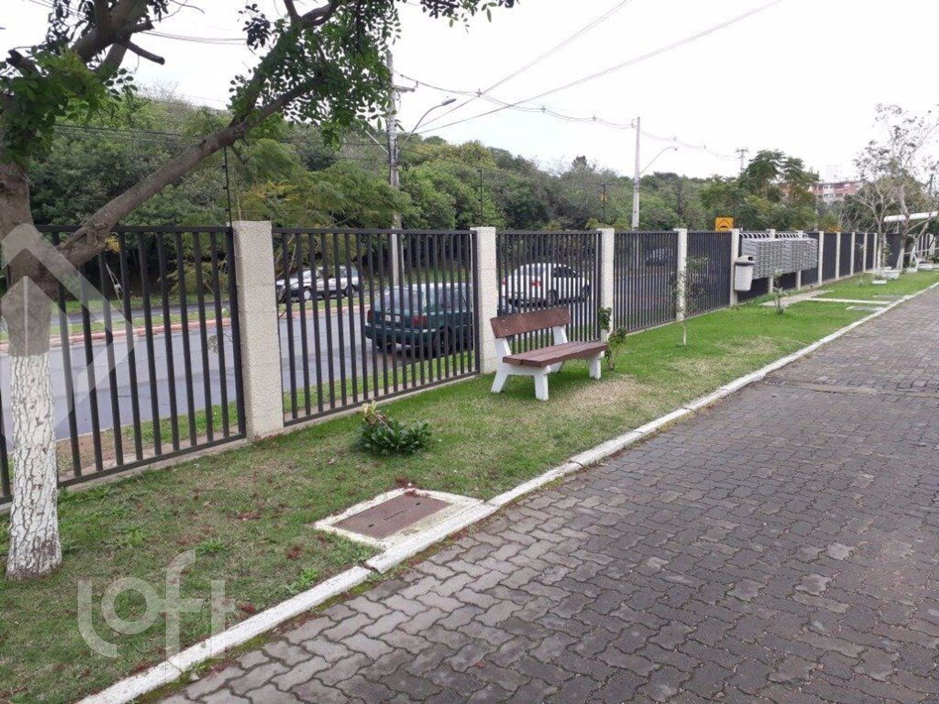 Imagem da propriedade 3