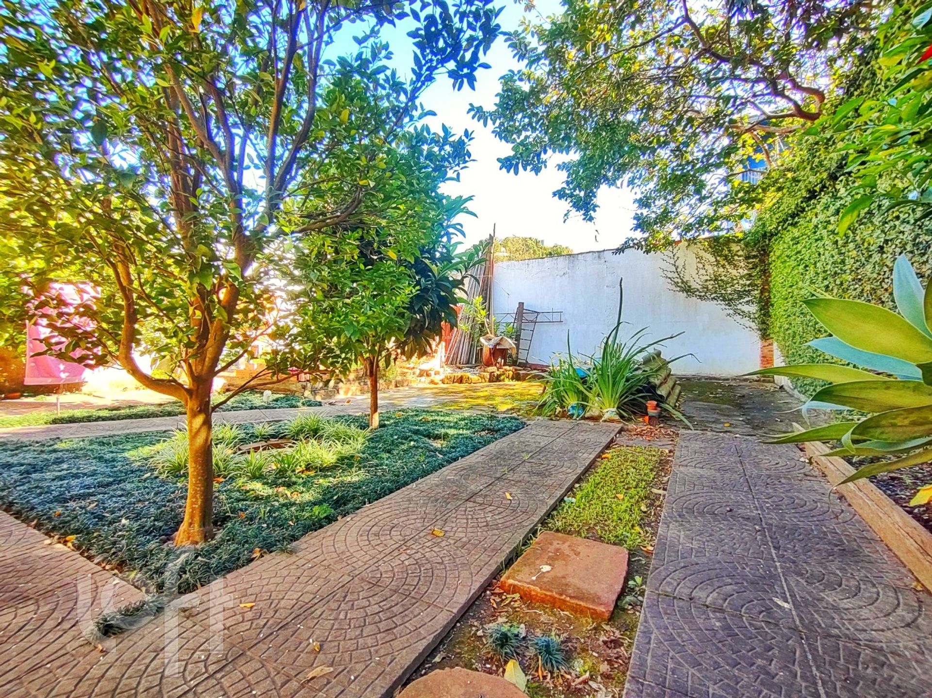 Imagem da propriedade 26