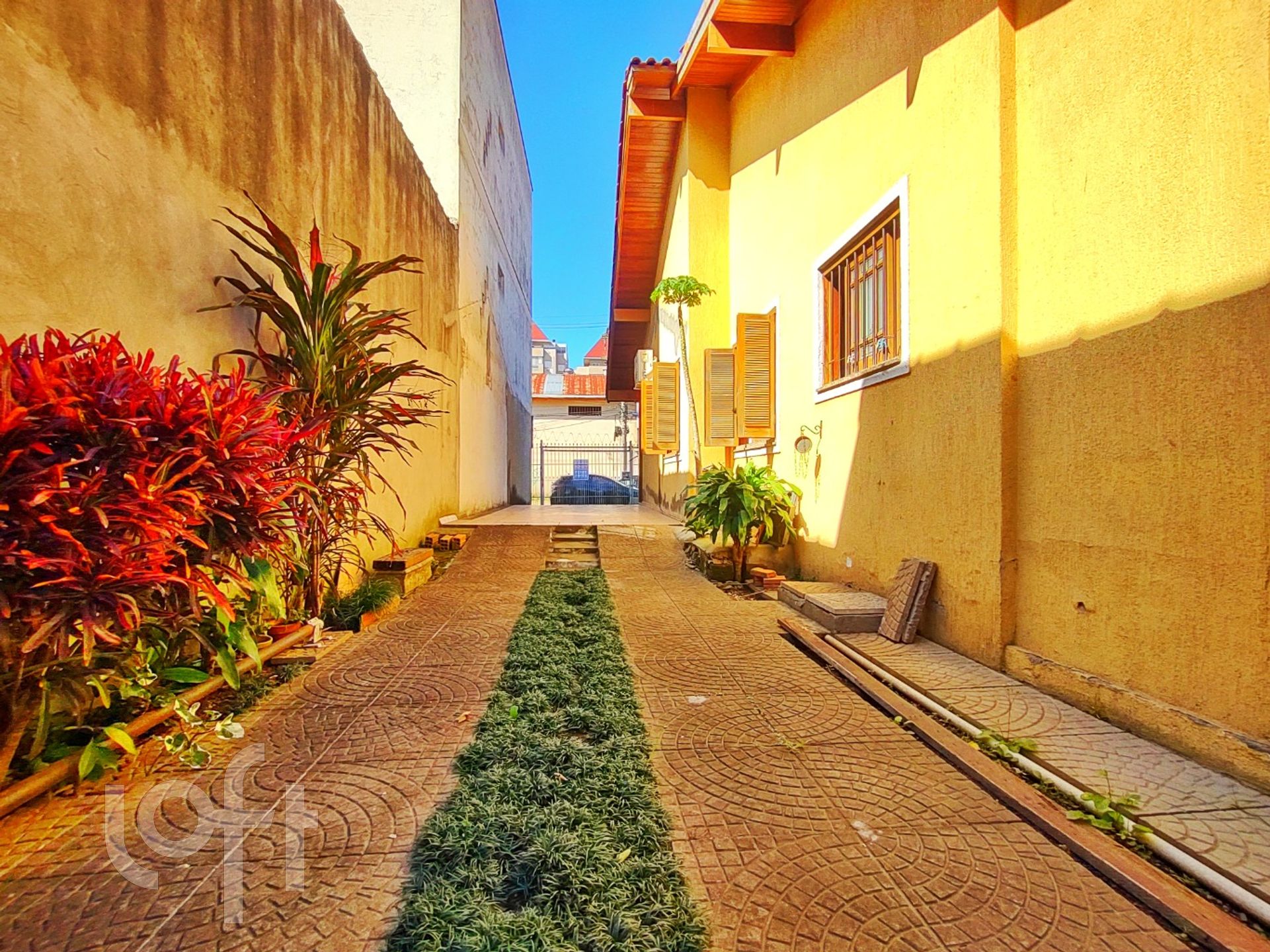 Imagem da propriedade 25