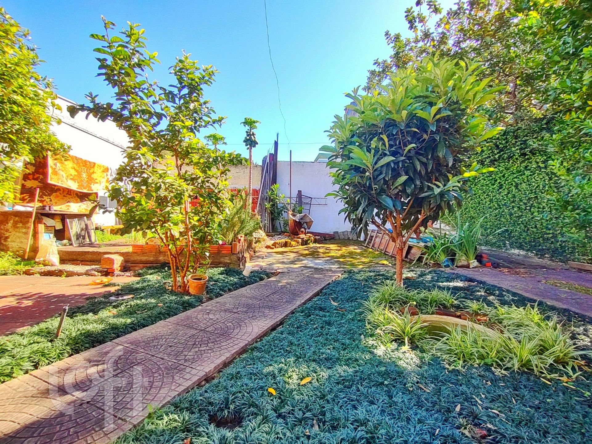 Imagem da propriedade 29