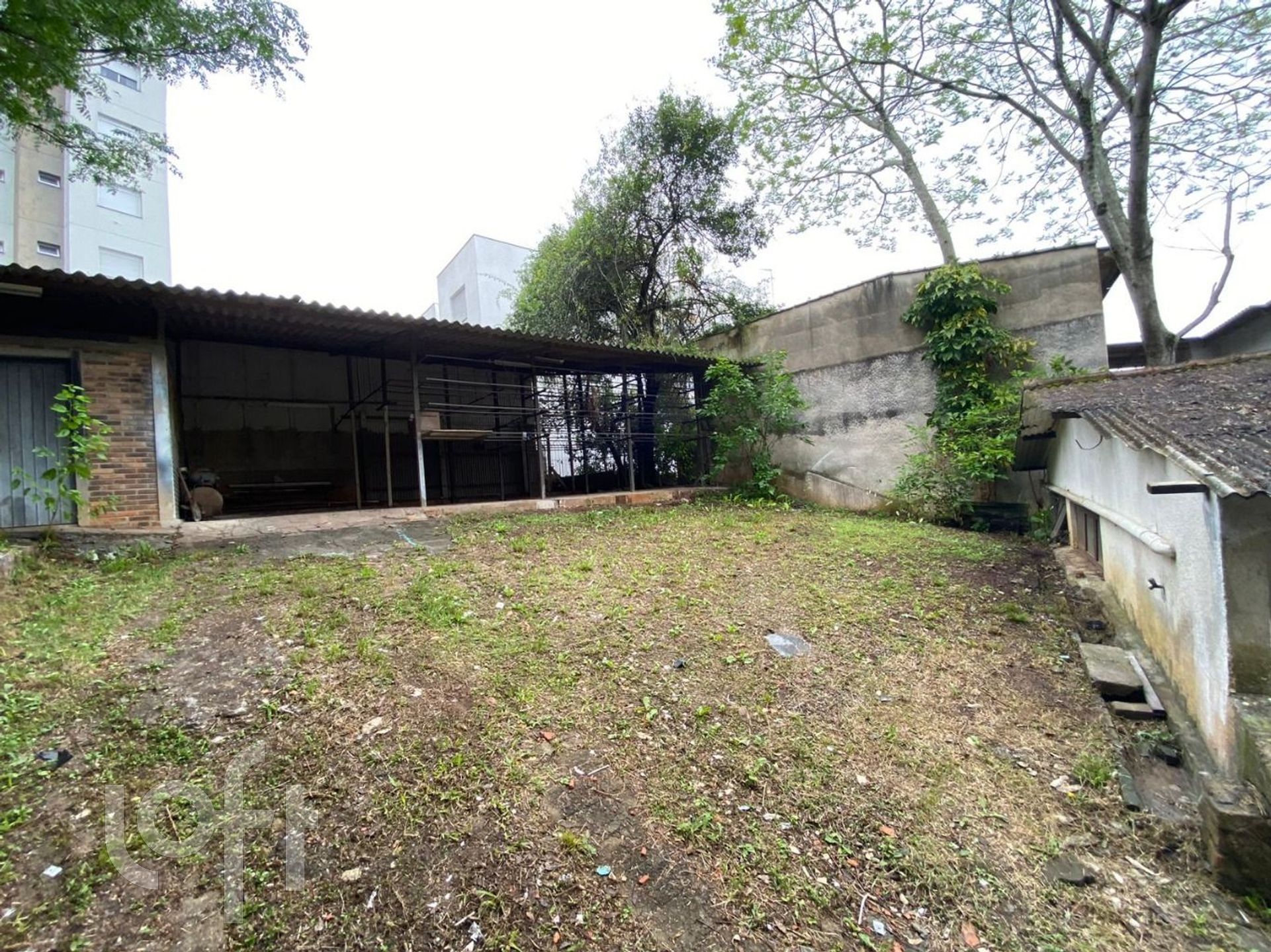 Imagem da propriedade 10