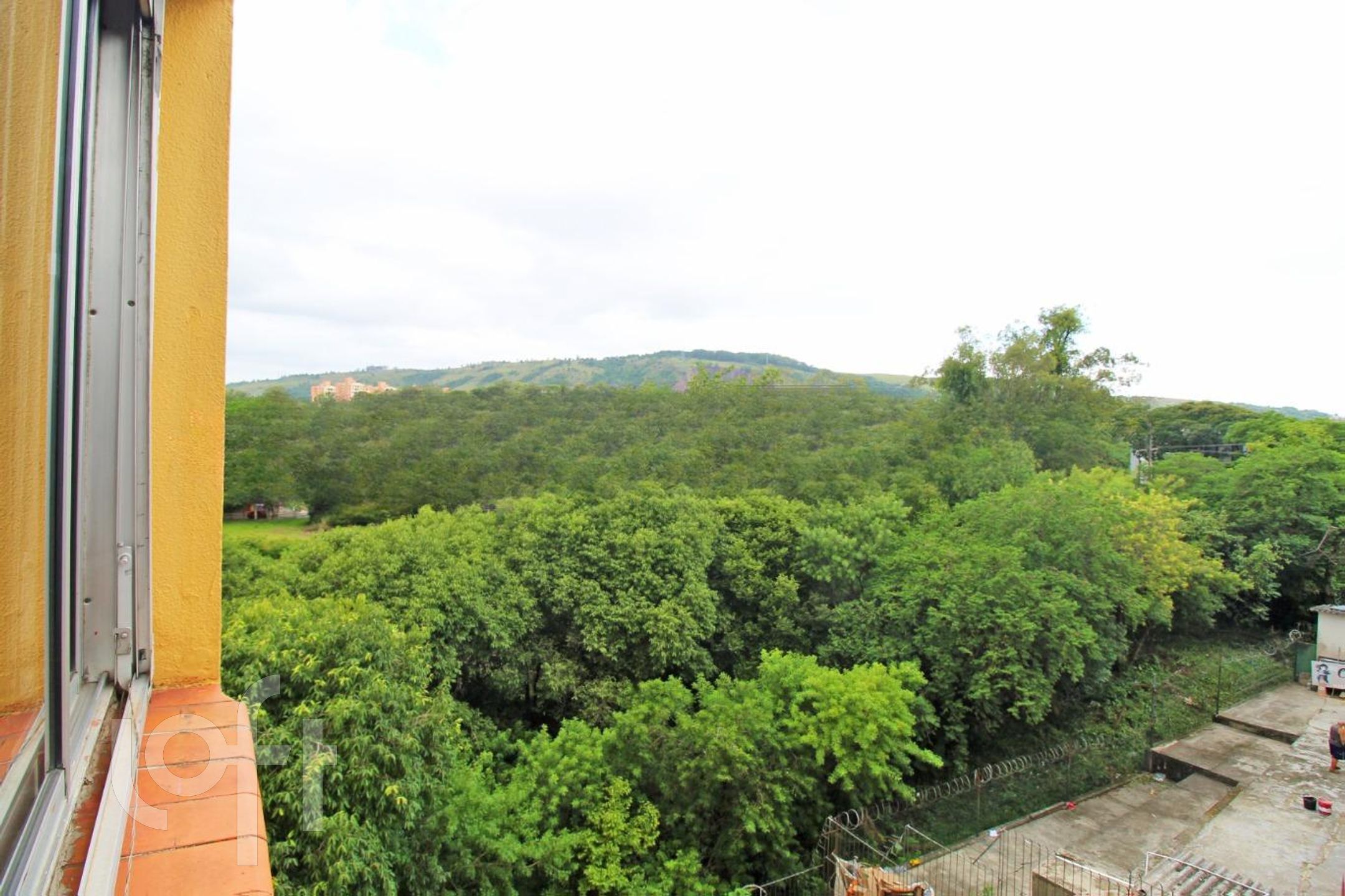 Imagem da propriedade 13