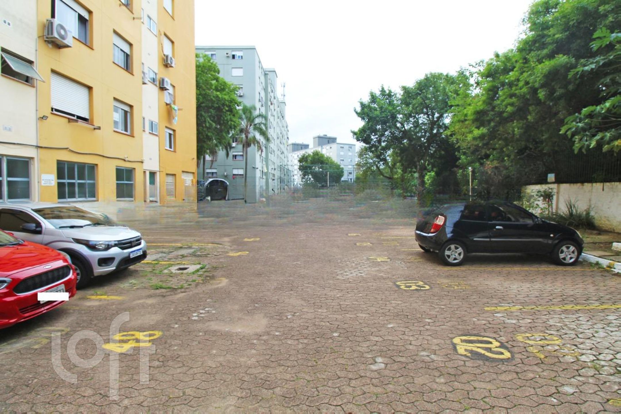 Imagem da propriedade 22