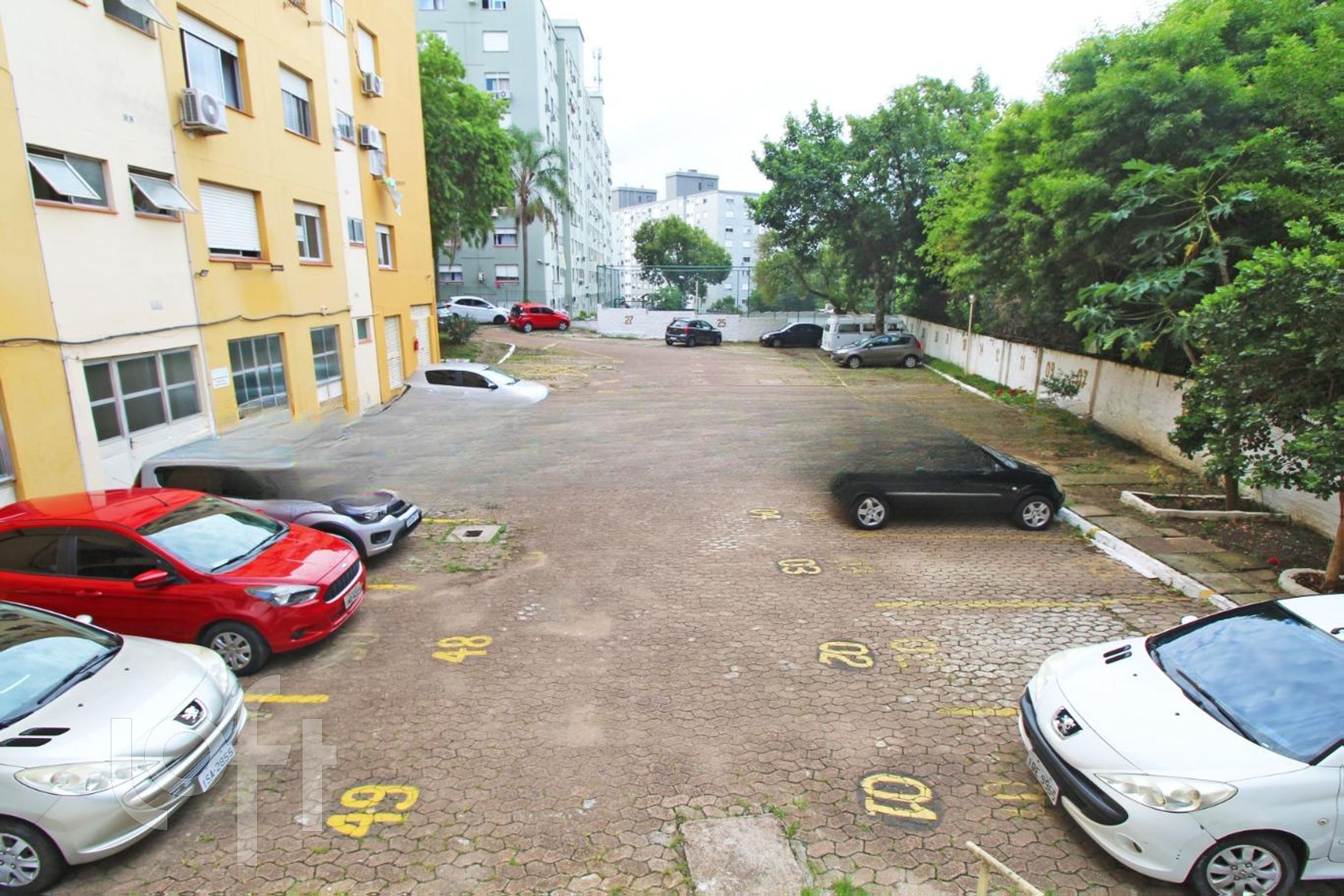 Imagem da propriedade 21