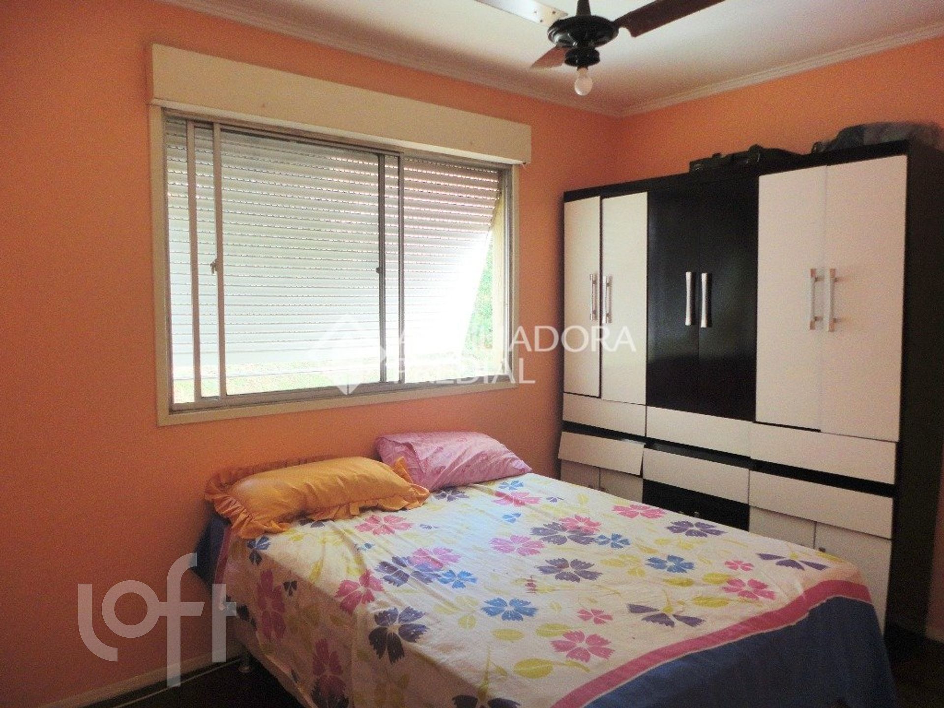 Imagem da propriedade 13