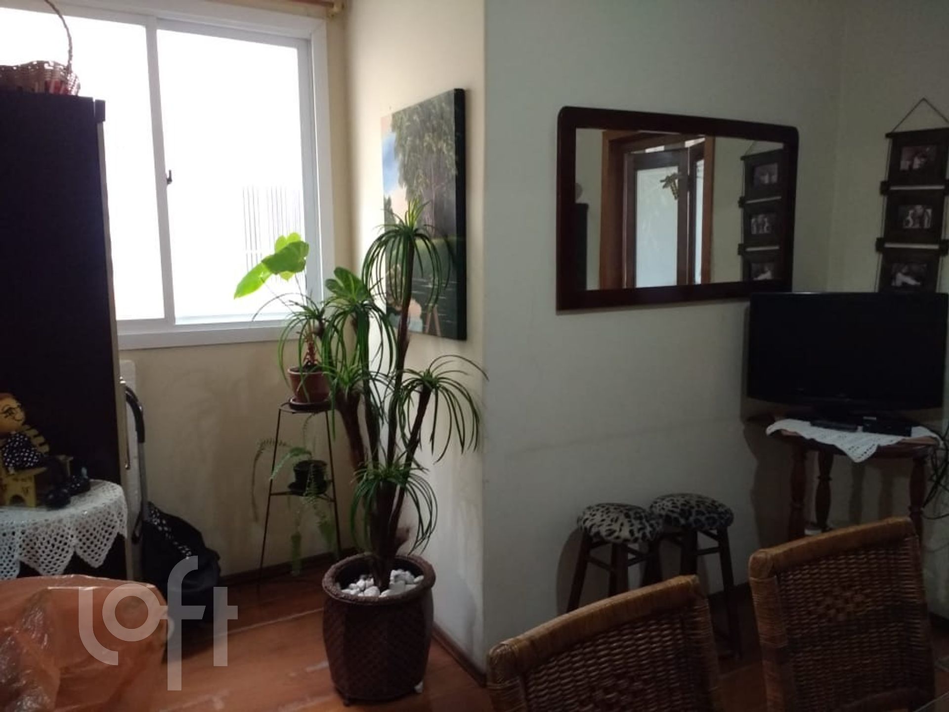 Imagem da propriedade 7