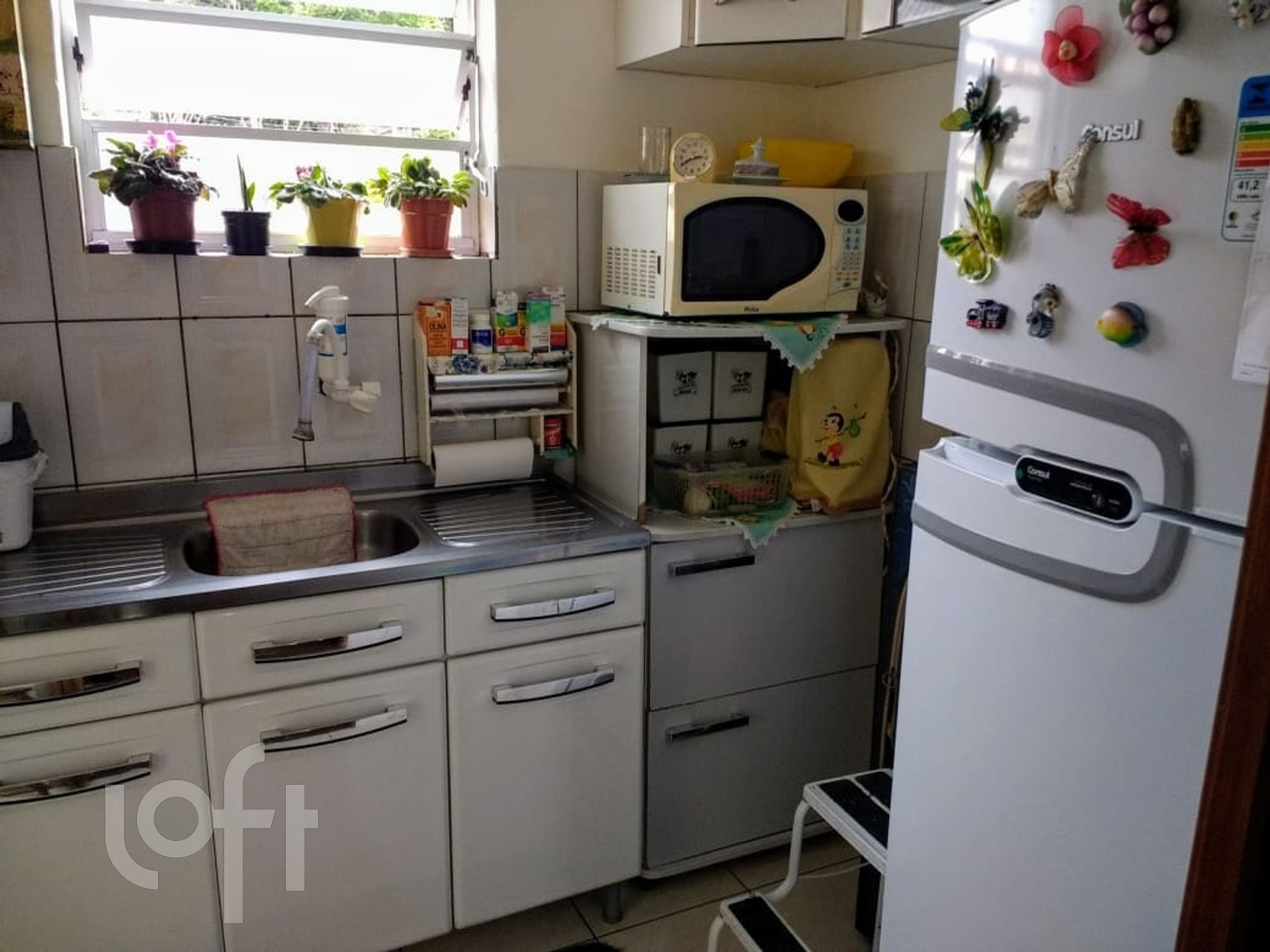 Imagem da propriedade 16