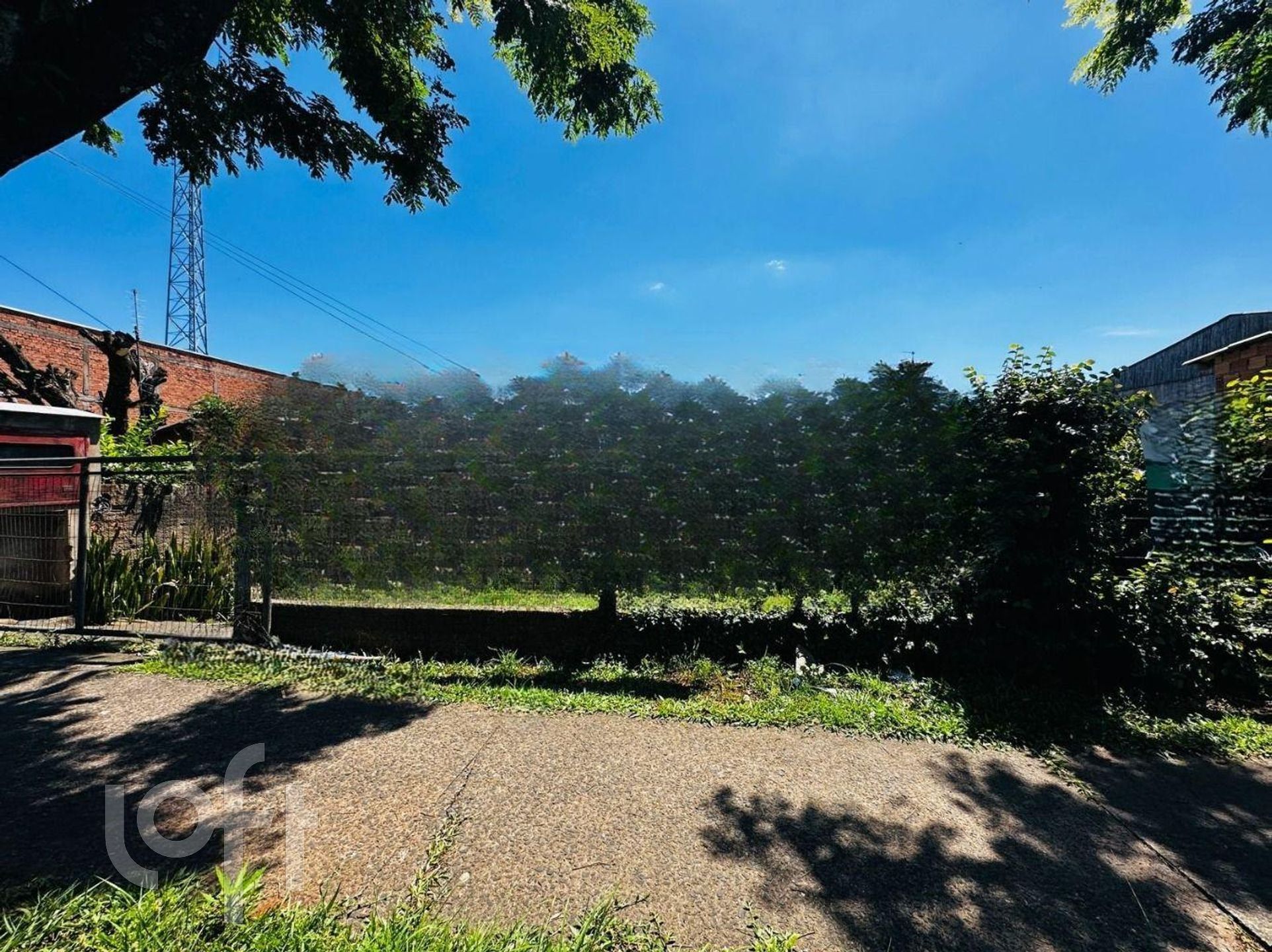 Imagem da propriedade 8