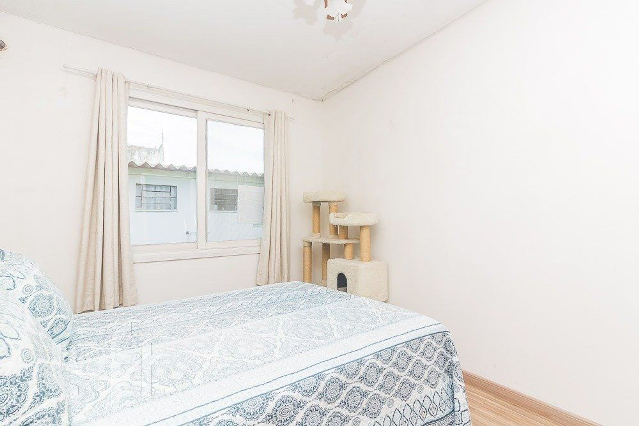 Imagem da propriedade 10