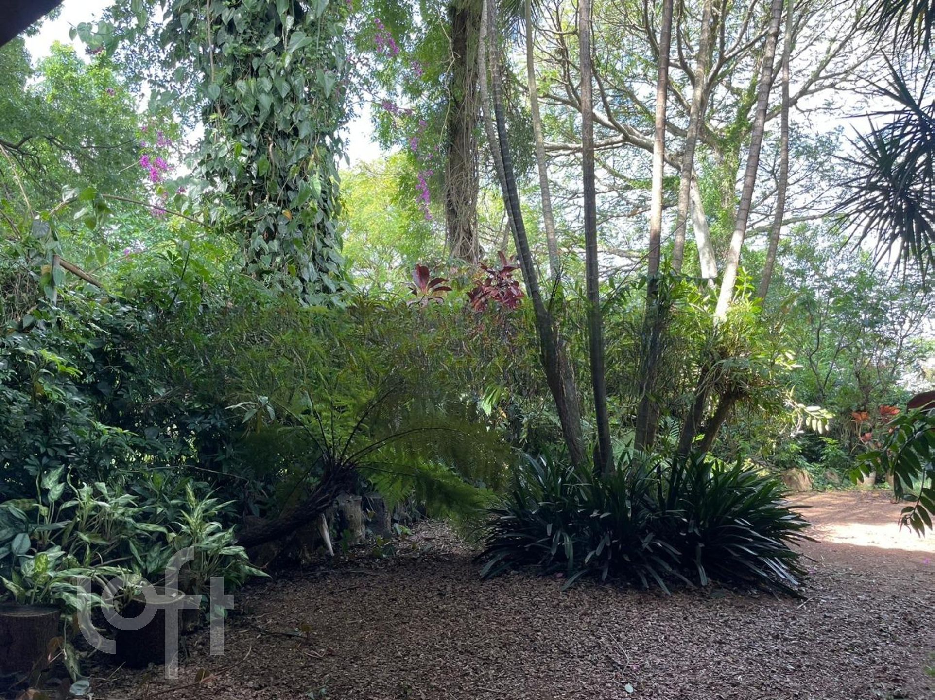 Imagem da propriedade 79