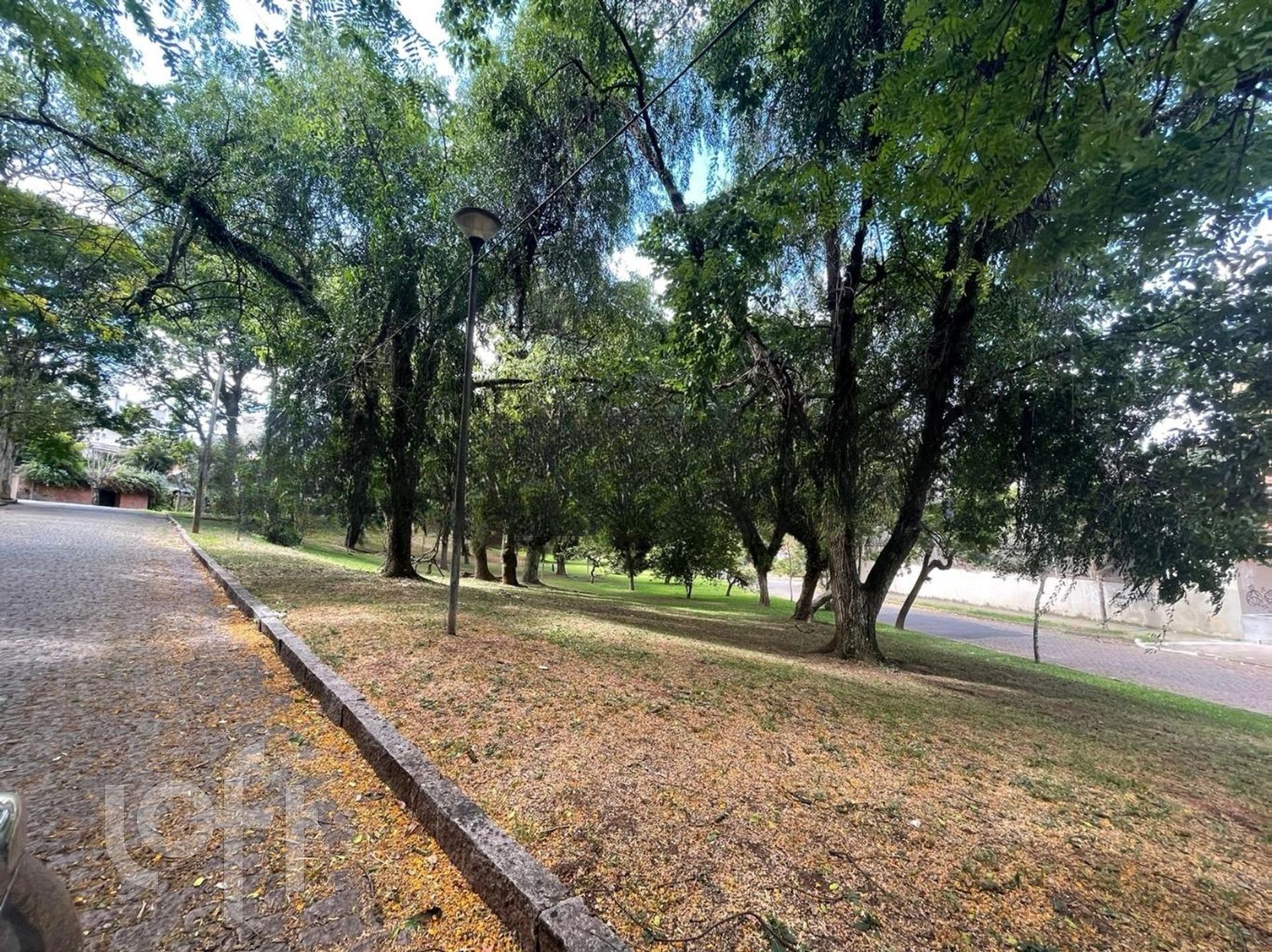 Imagem da propriedade 84