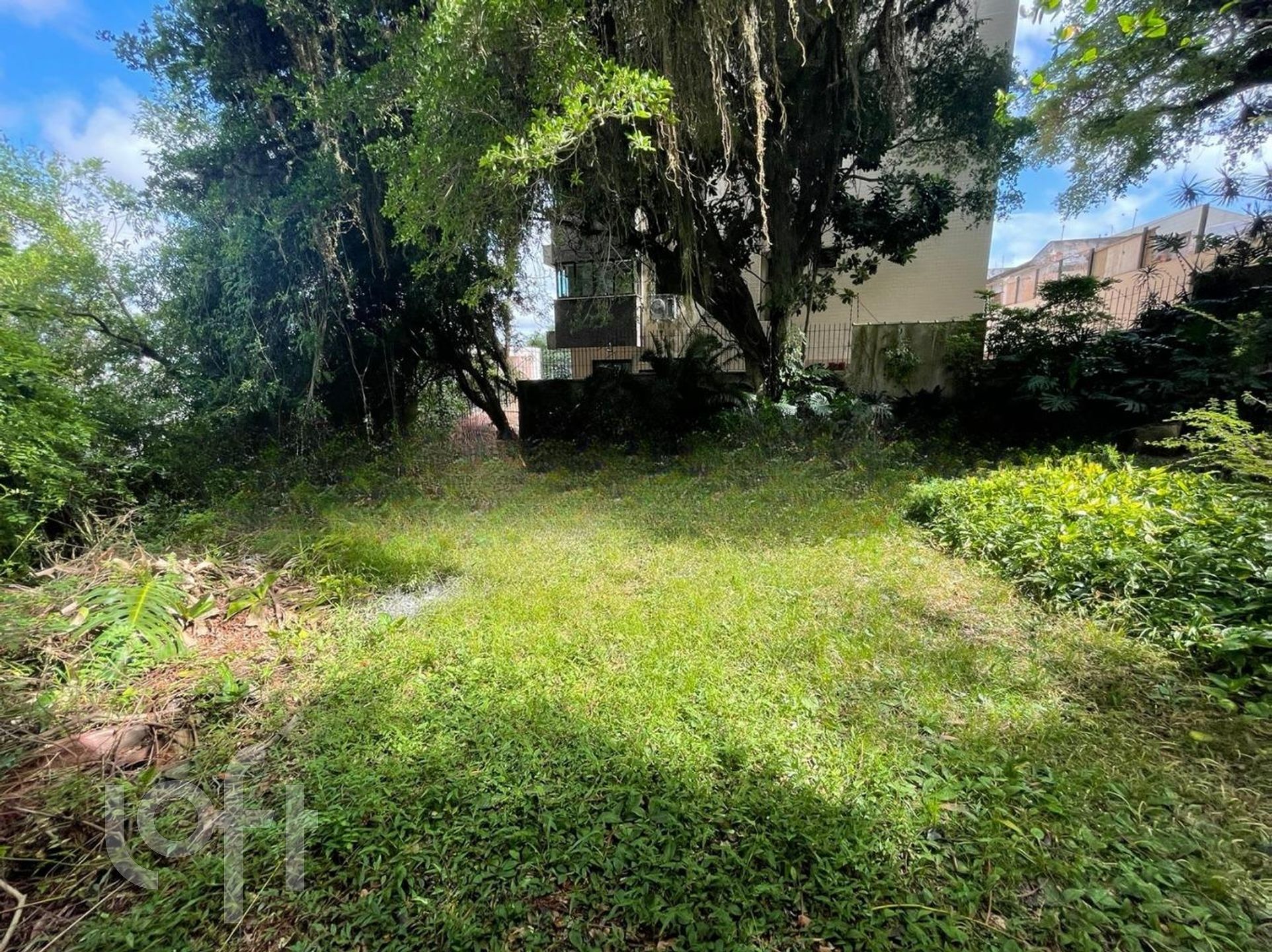 Imagem da propriedade 76