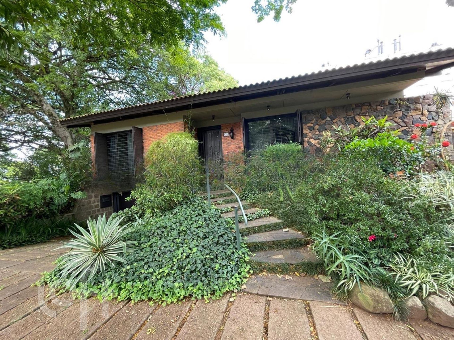 Imagem da propriedade 3