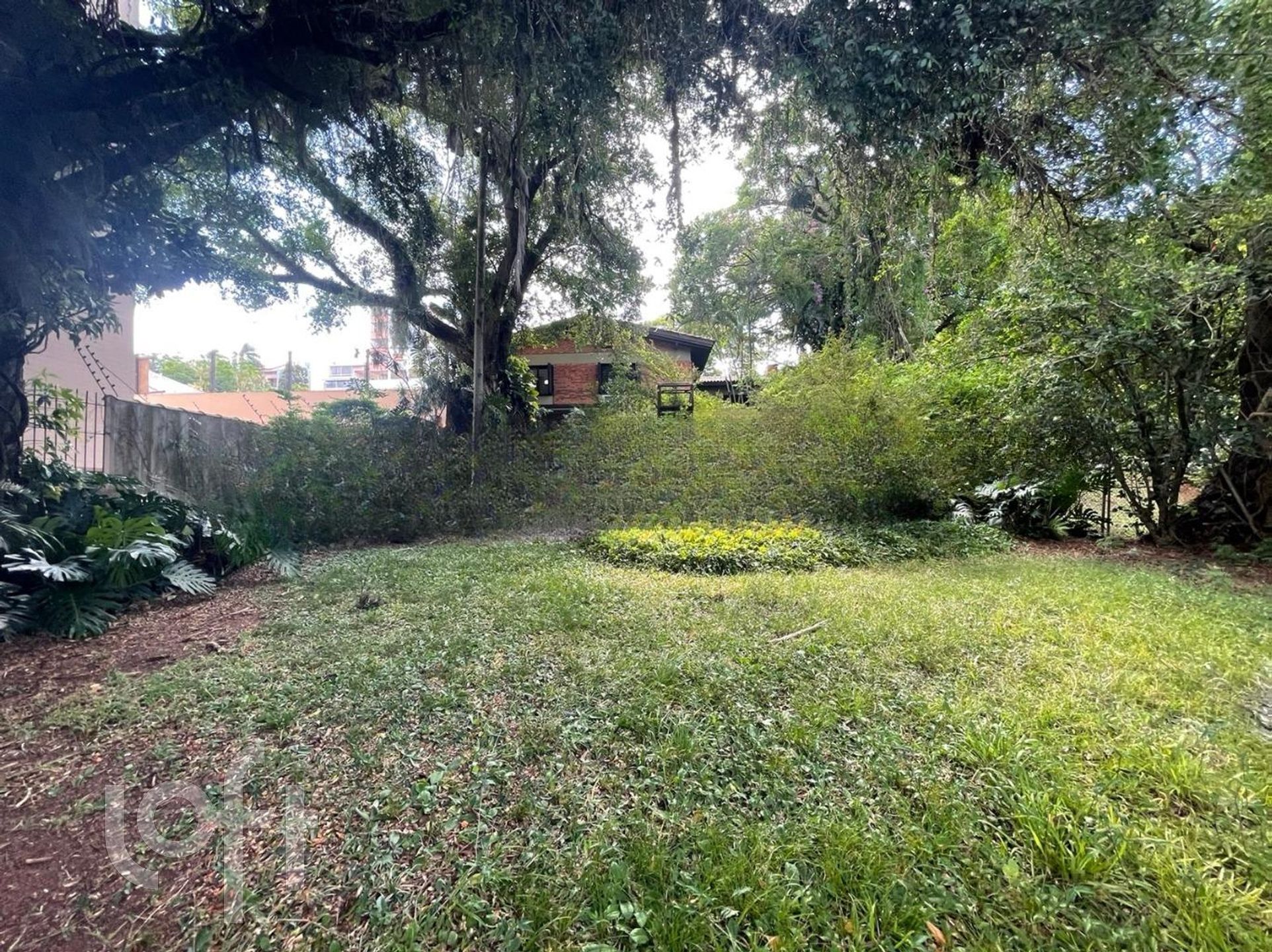 Imagem da propriedade 77