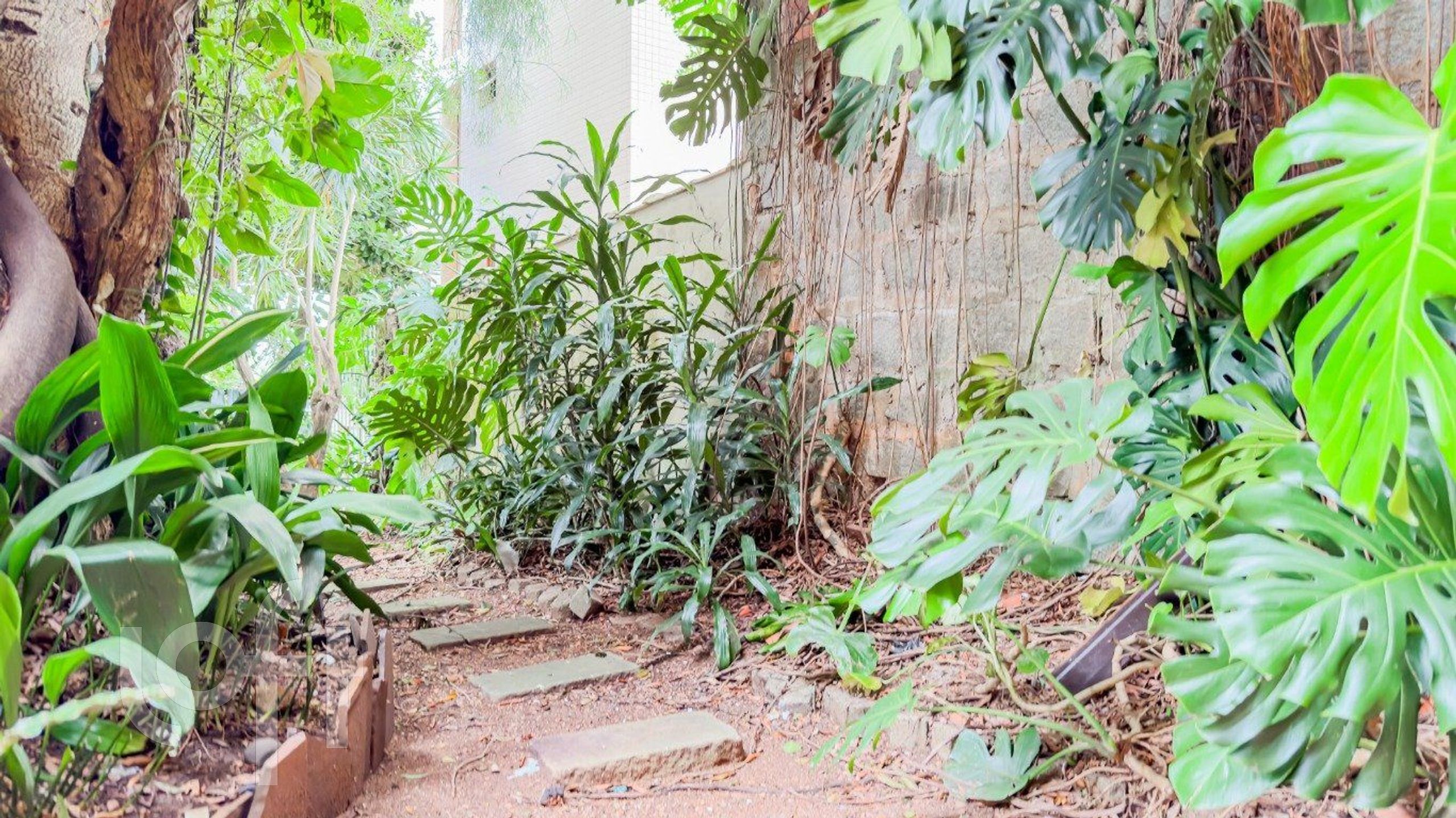 Imagem da propriedade 93