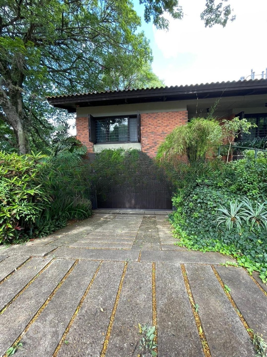 Imagem da propriedade 82