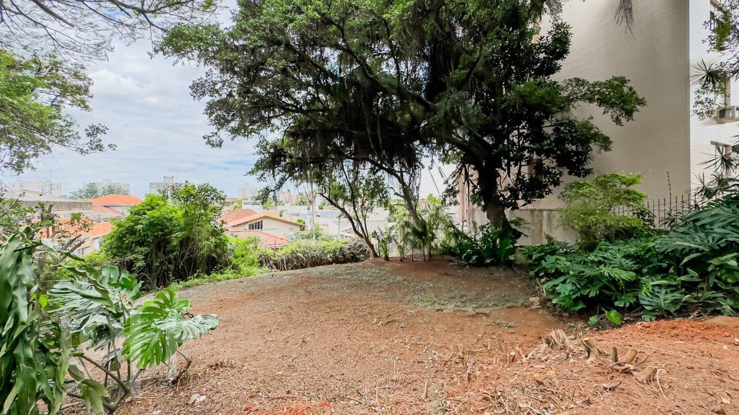 Imagem da propriedade 99