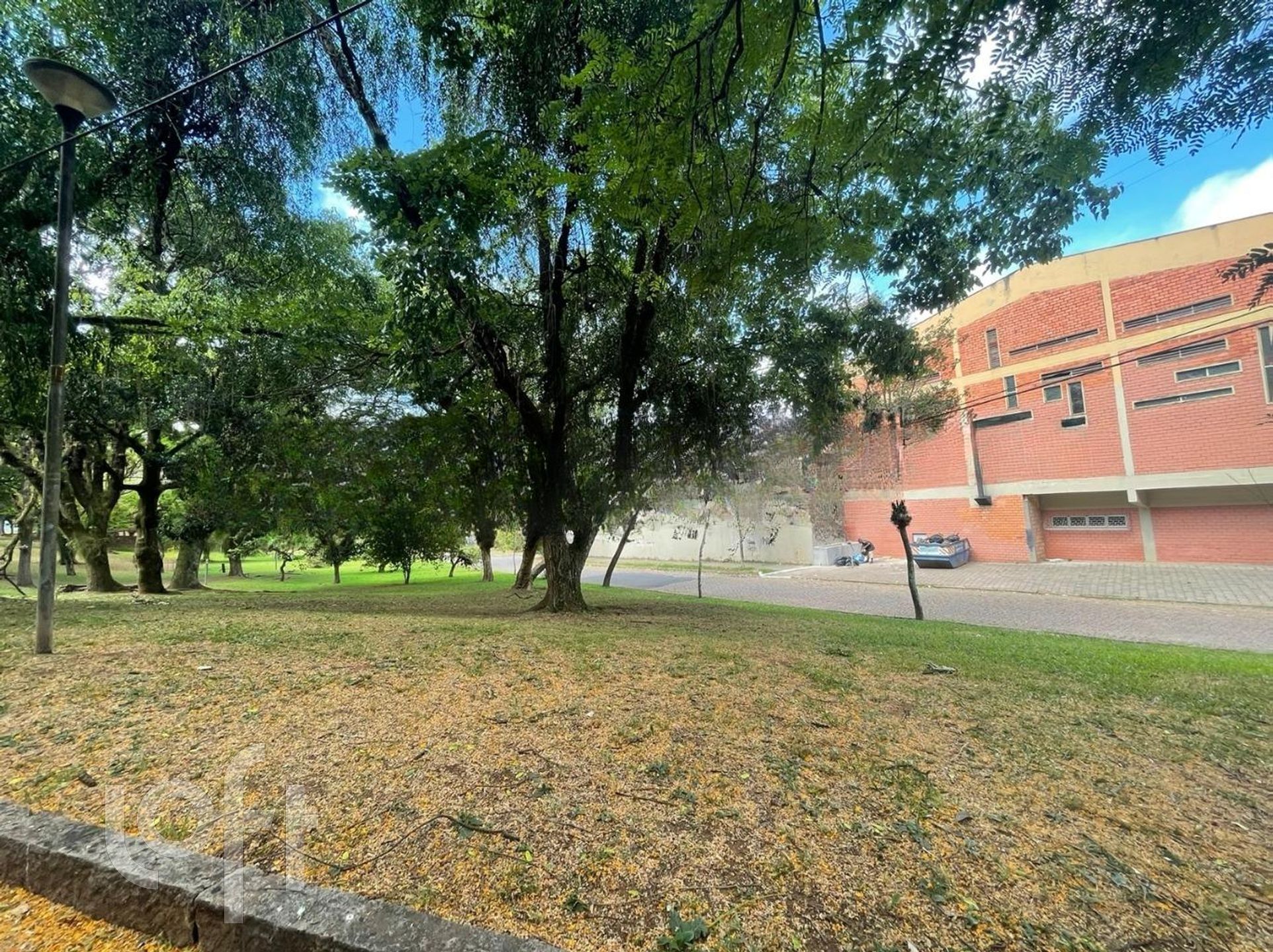 Imagem da propriedade 83