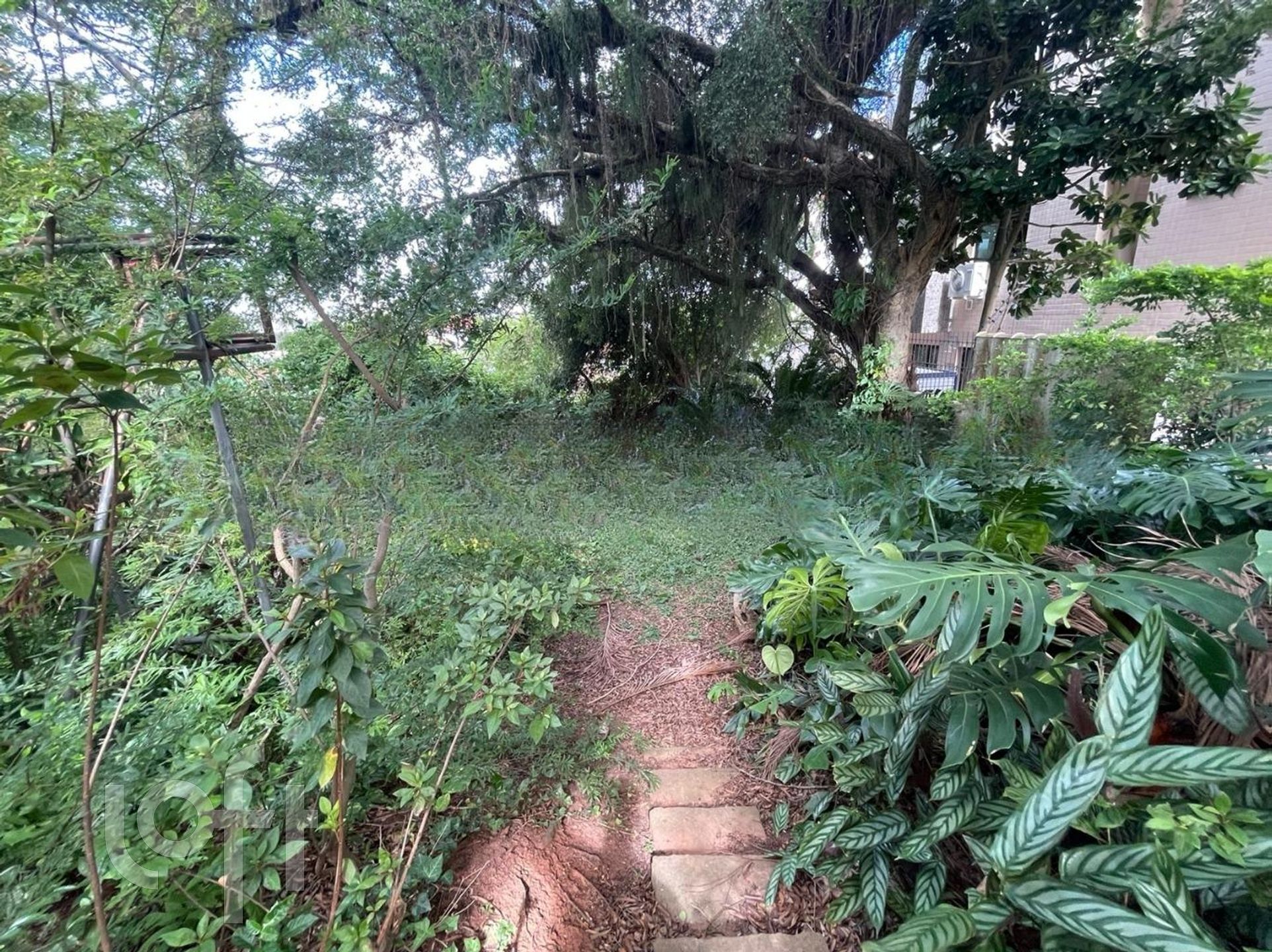 Imagem da propriedade 75