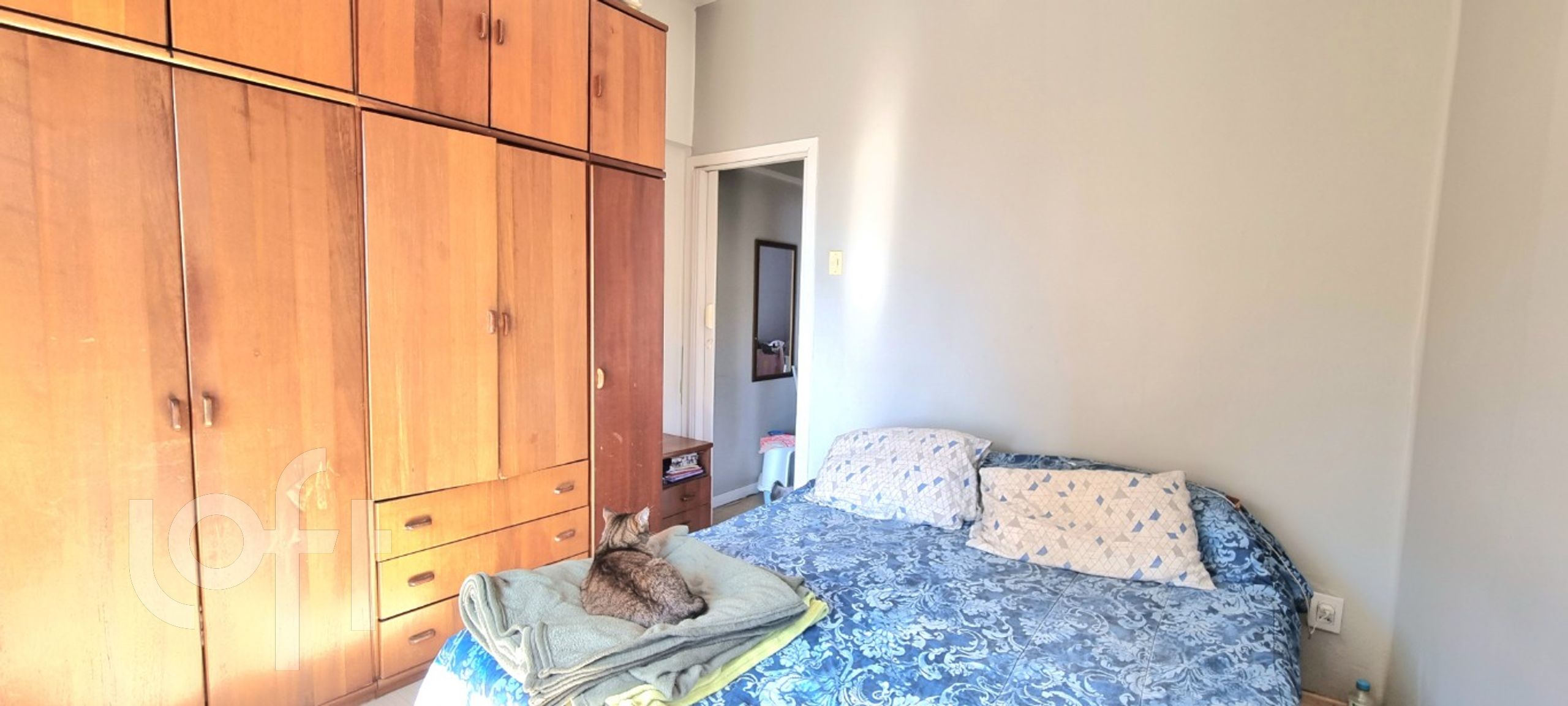 Imagem da propriedade 13