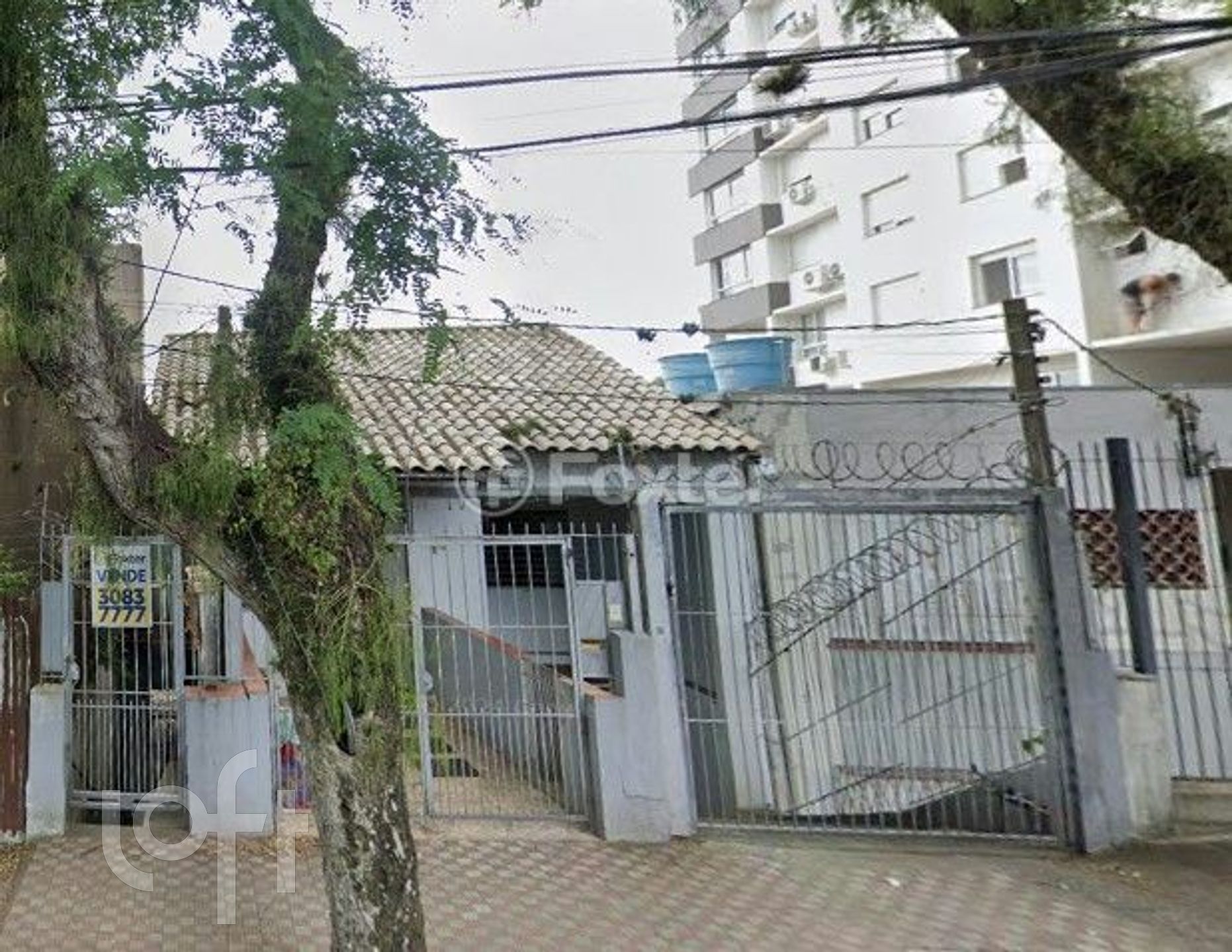 Imagem da propriedade 13