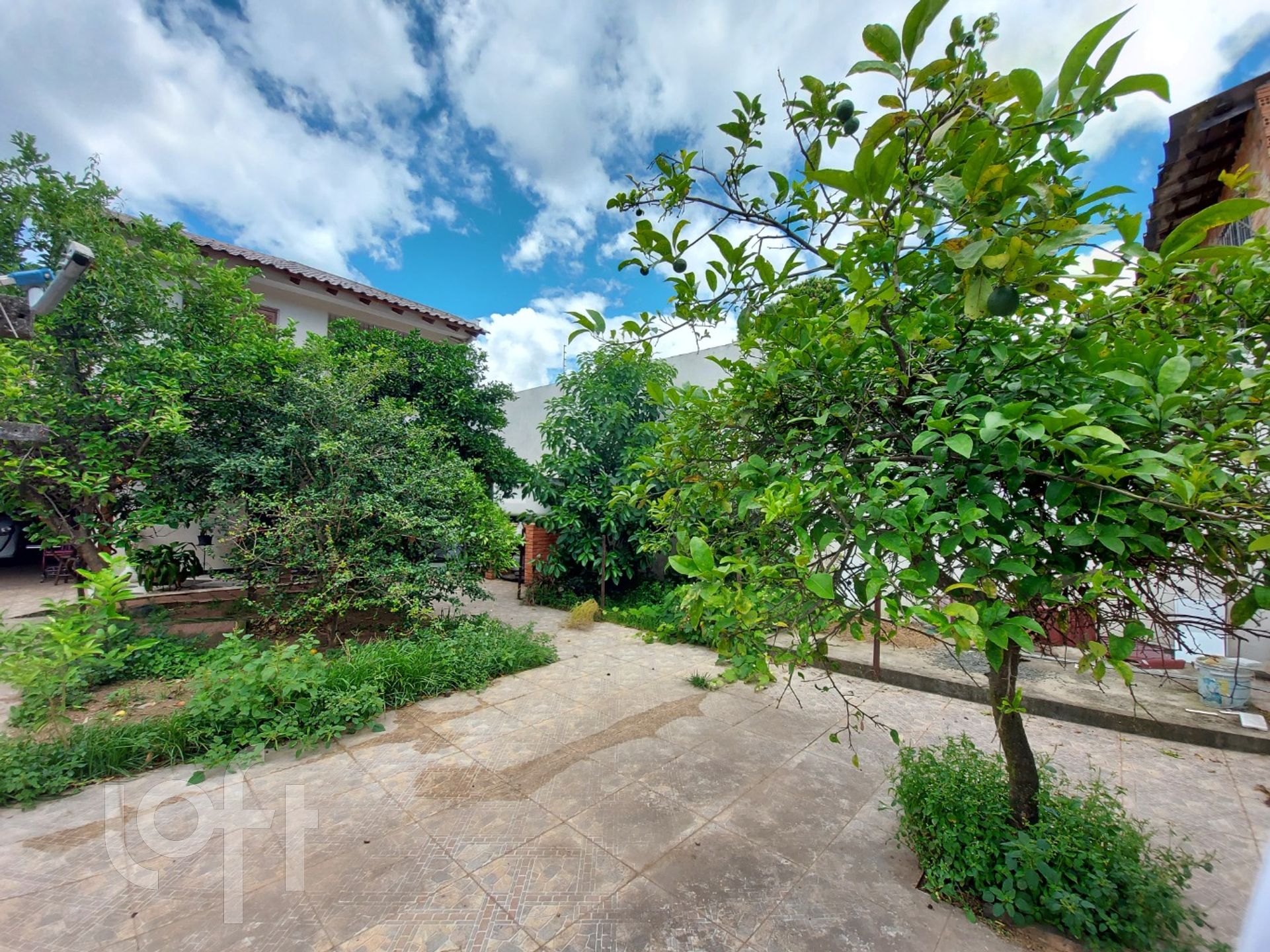 Imagem da propriedade 30