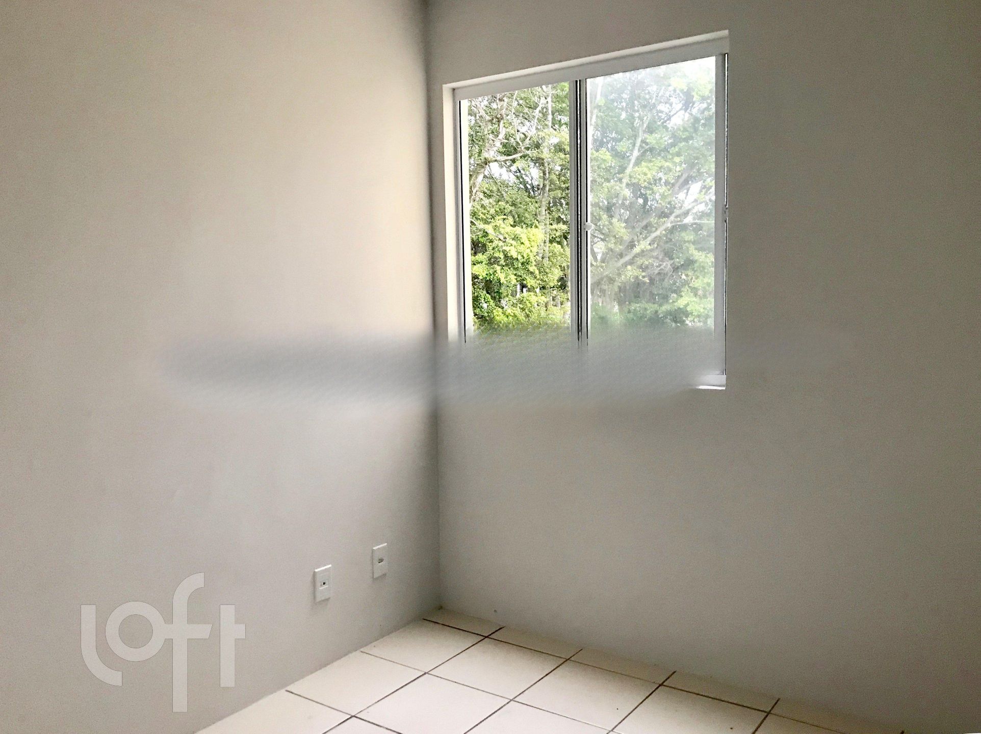 Imagem da propriedade 16