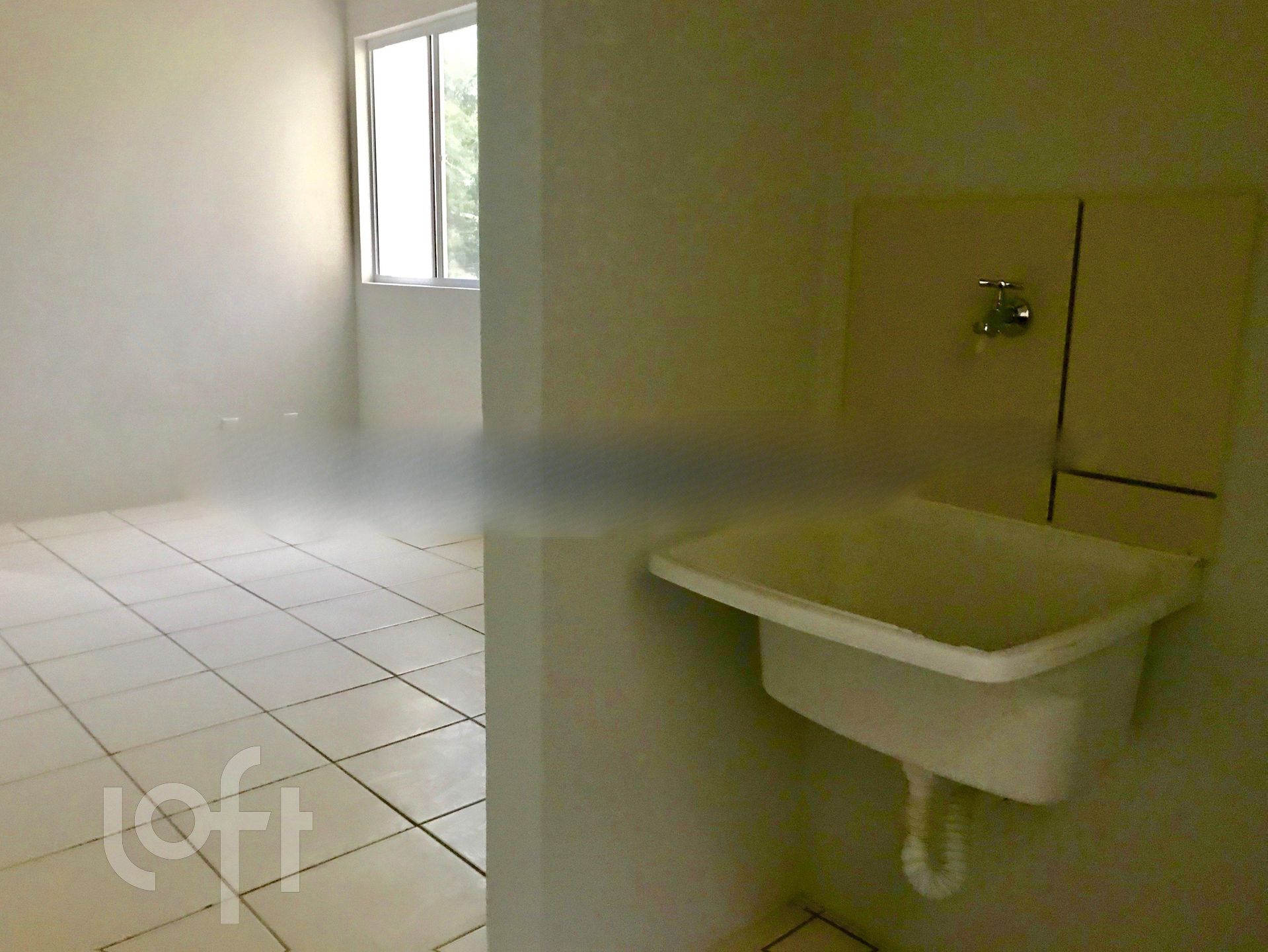 Imagem da propriedade 6